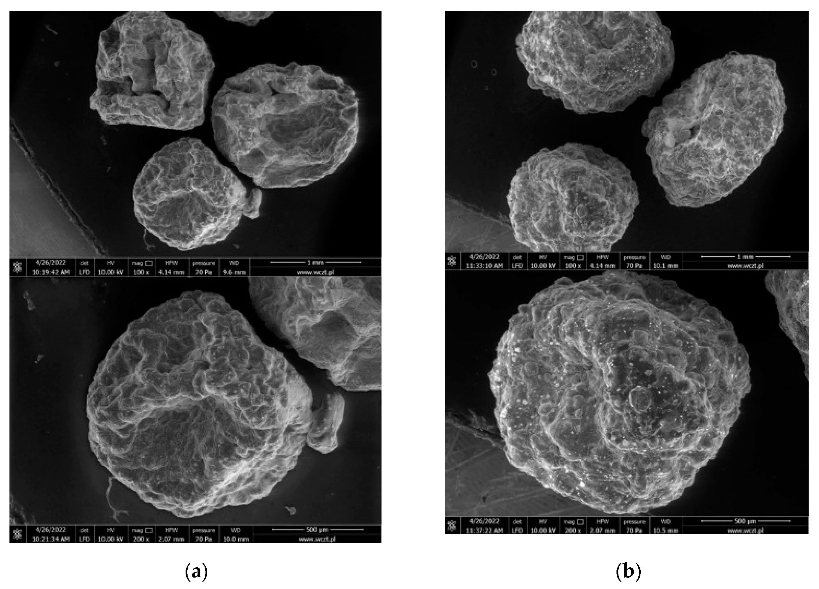 Molecules 27 06664 g006