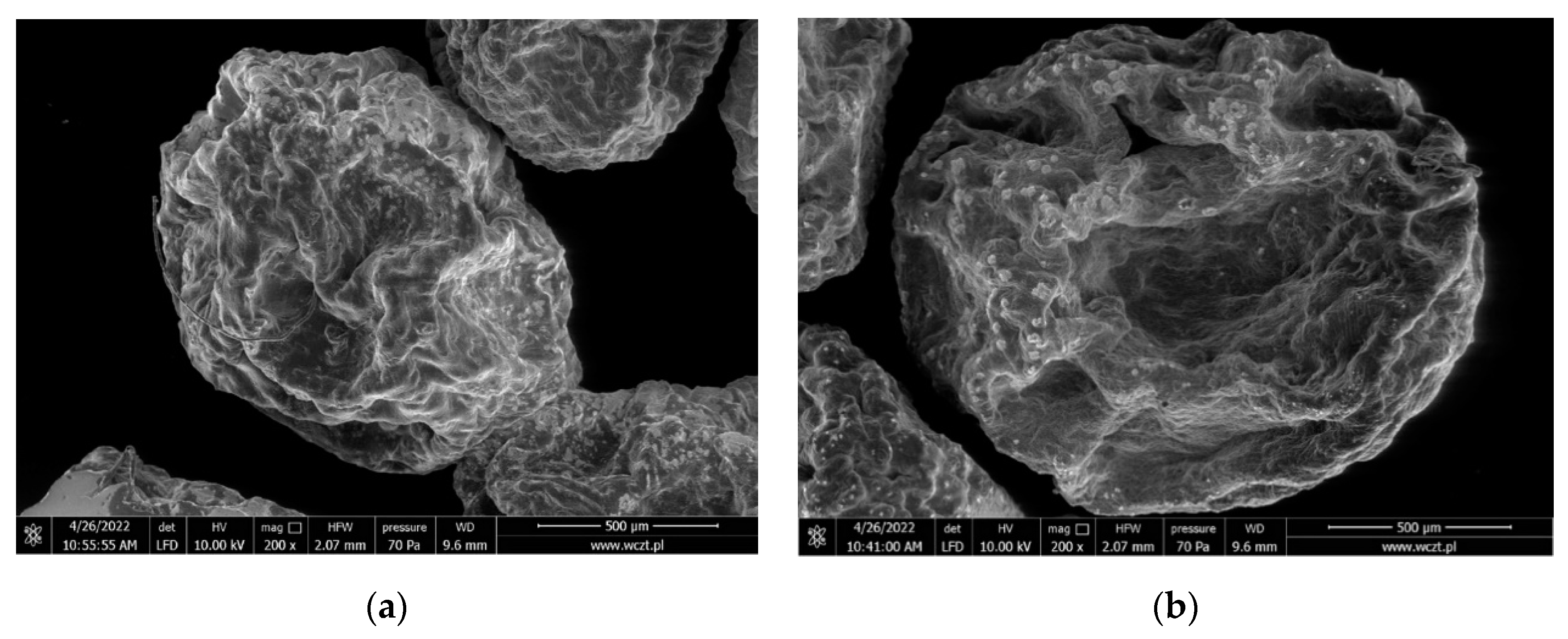 Molecules 27 06664 g007