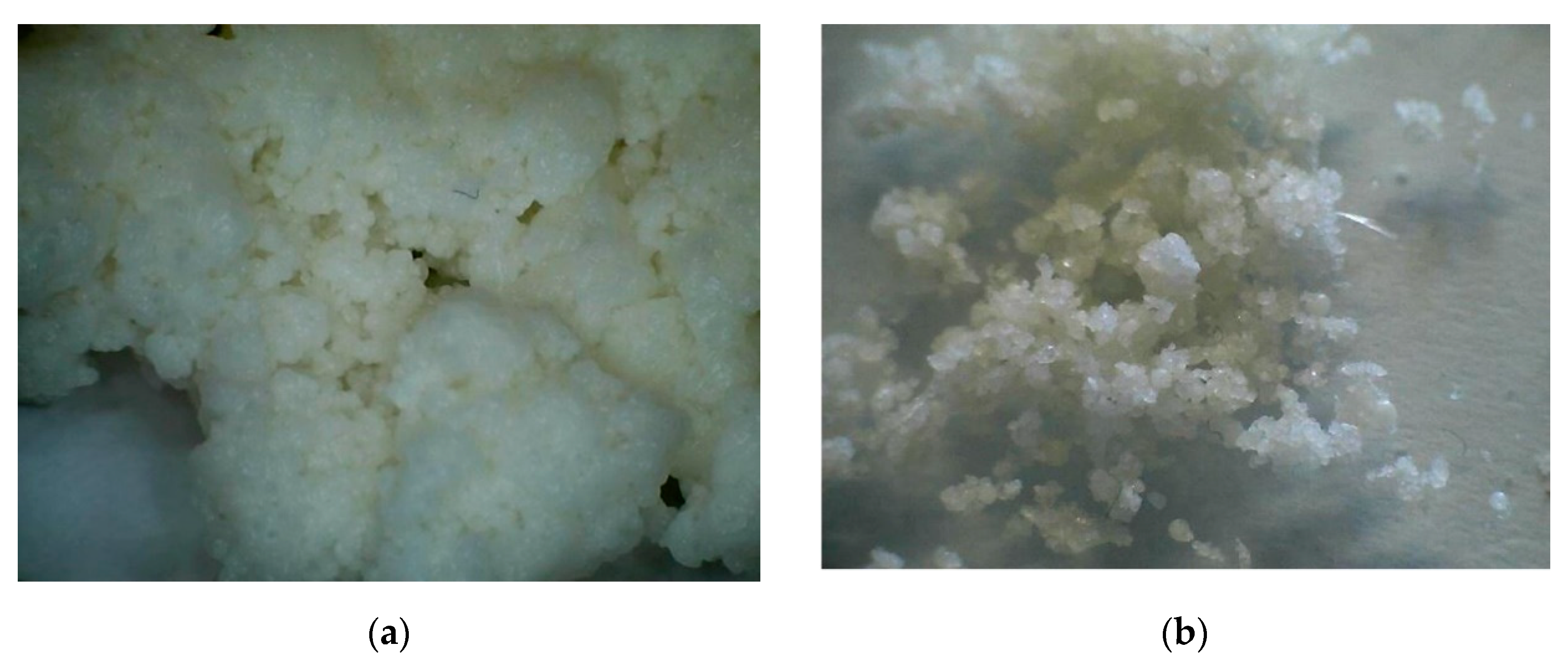 Molecules 27 06664 g009