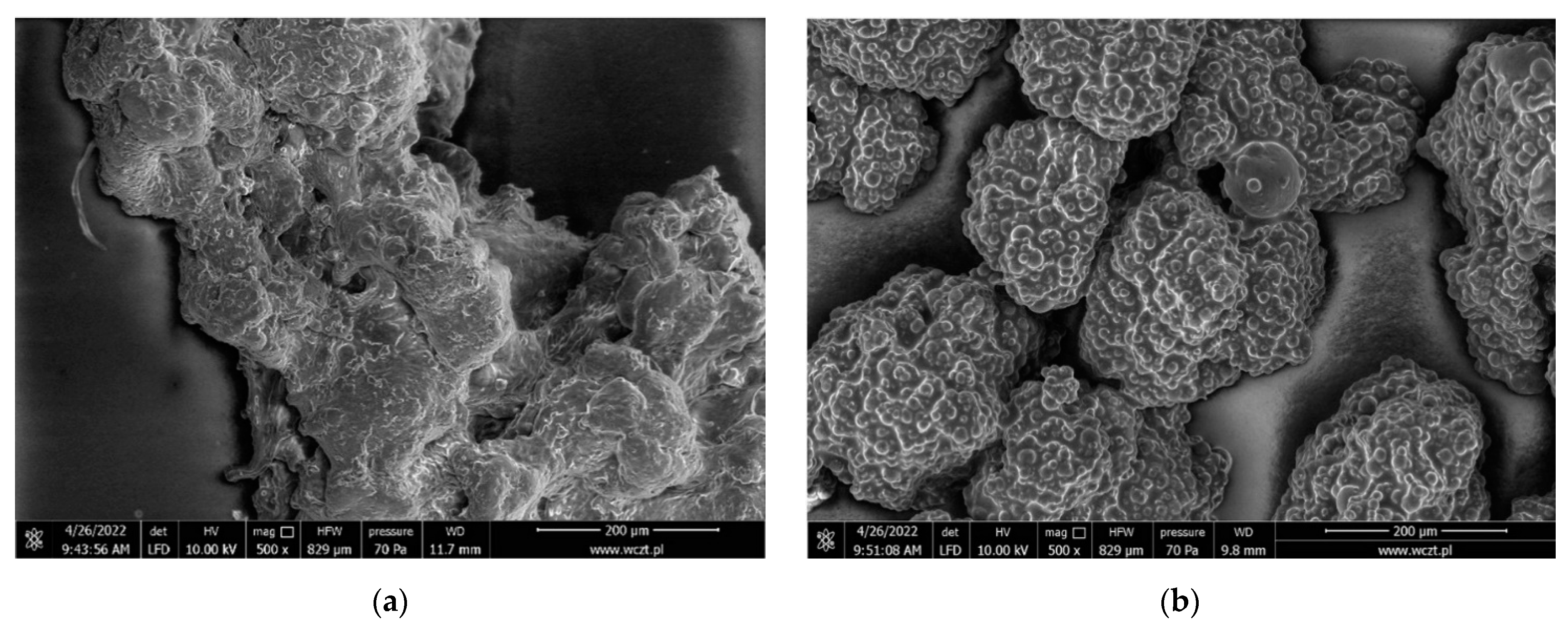 Molecules 27 06664 g010