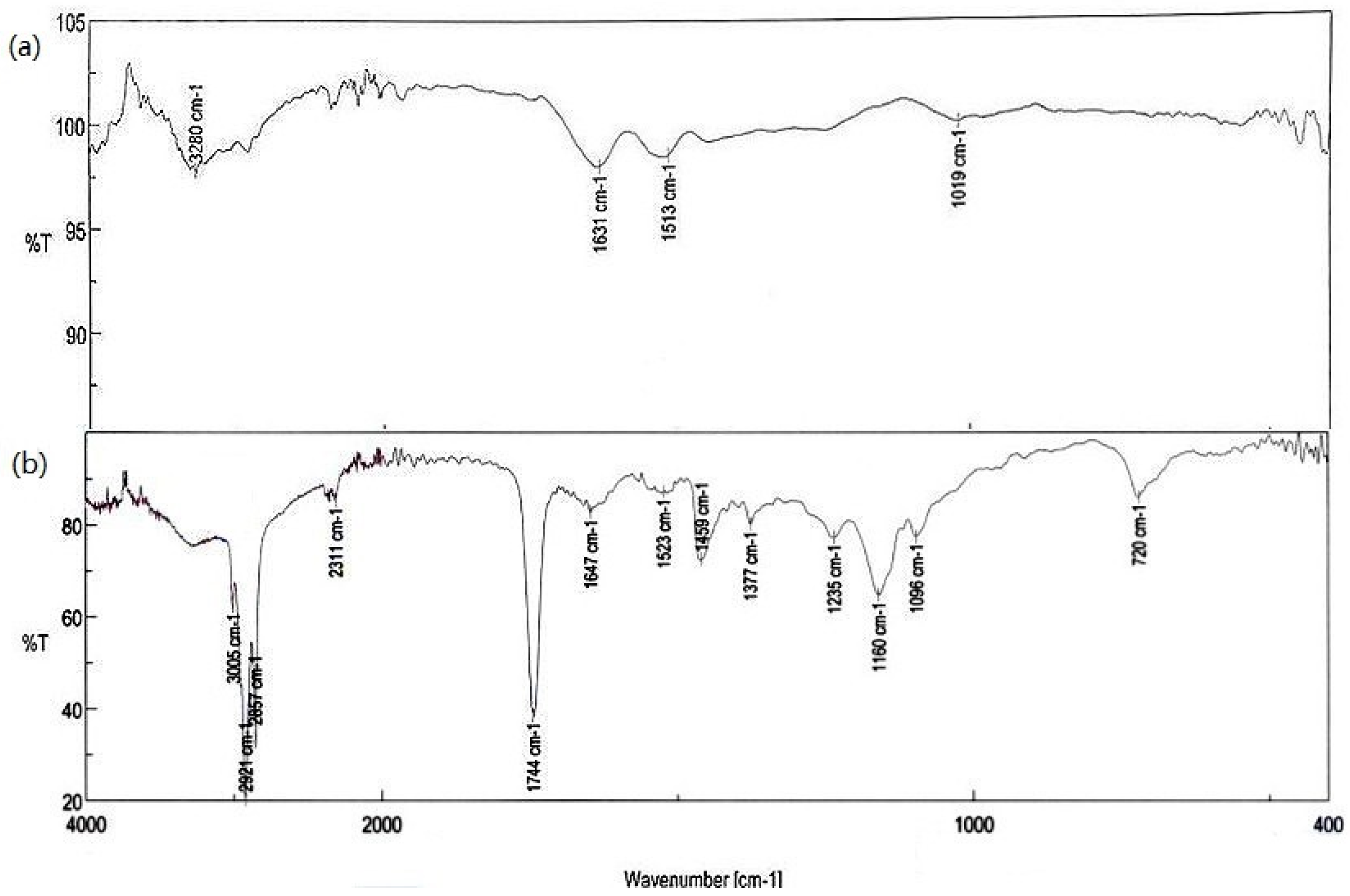 Molecules 27 06664 g012