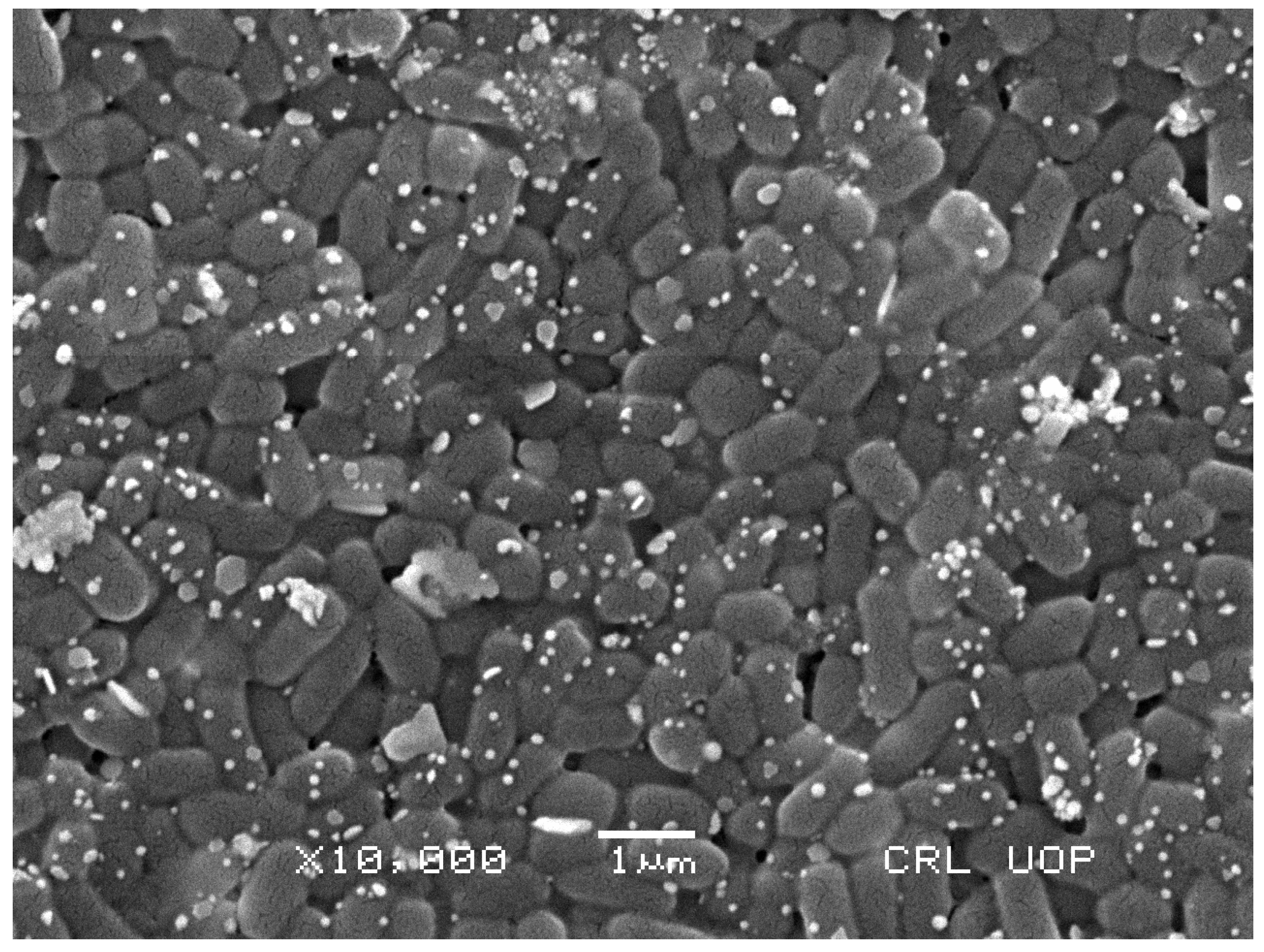 Molecules 27 06669 g006