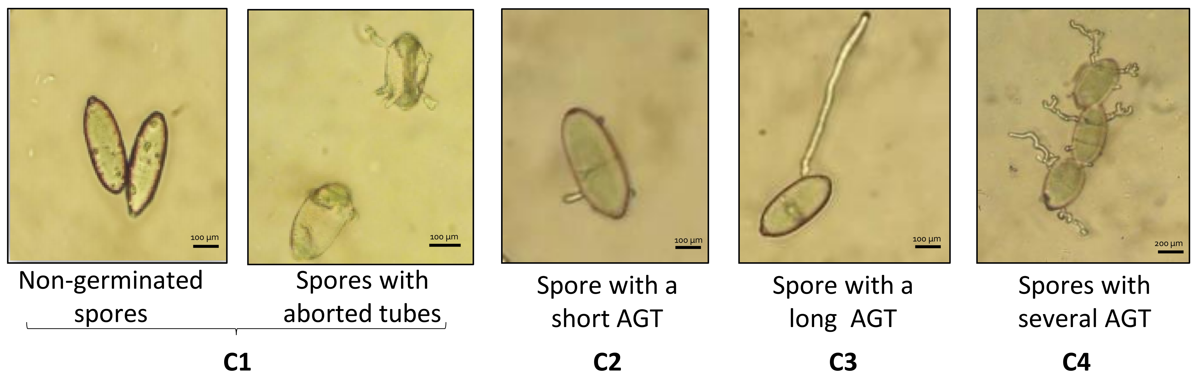 Molecules 27 06672 g006