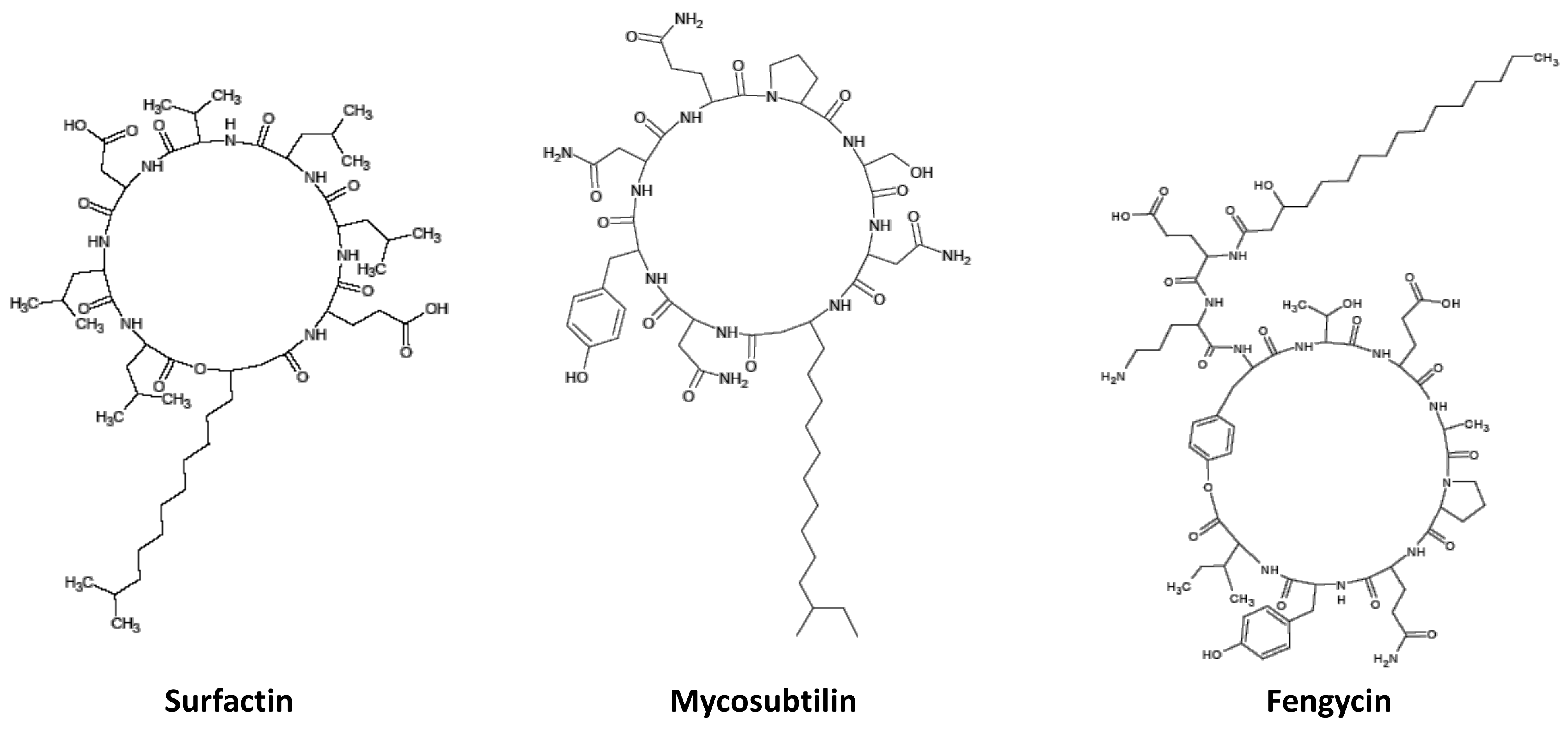 Molecules 27 06672 sch003