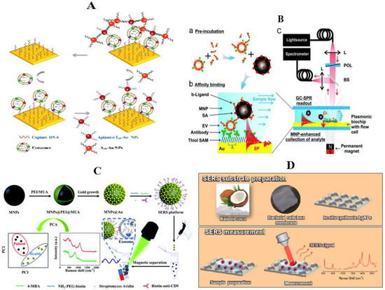 Molecules 27 06673 g006