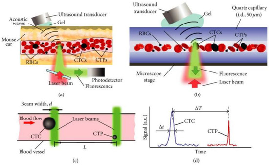 Molecules 27 06673 g007
