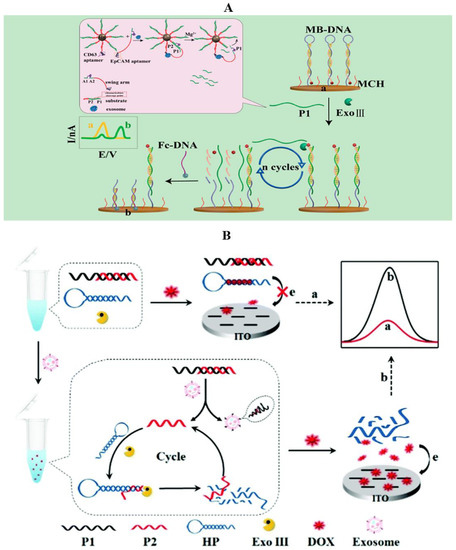 Molecules 27 06673 g008