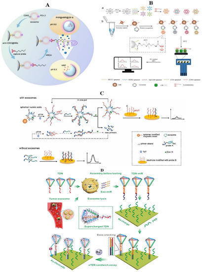 Molecules 27 06673 g009