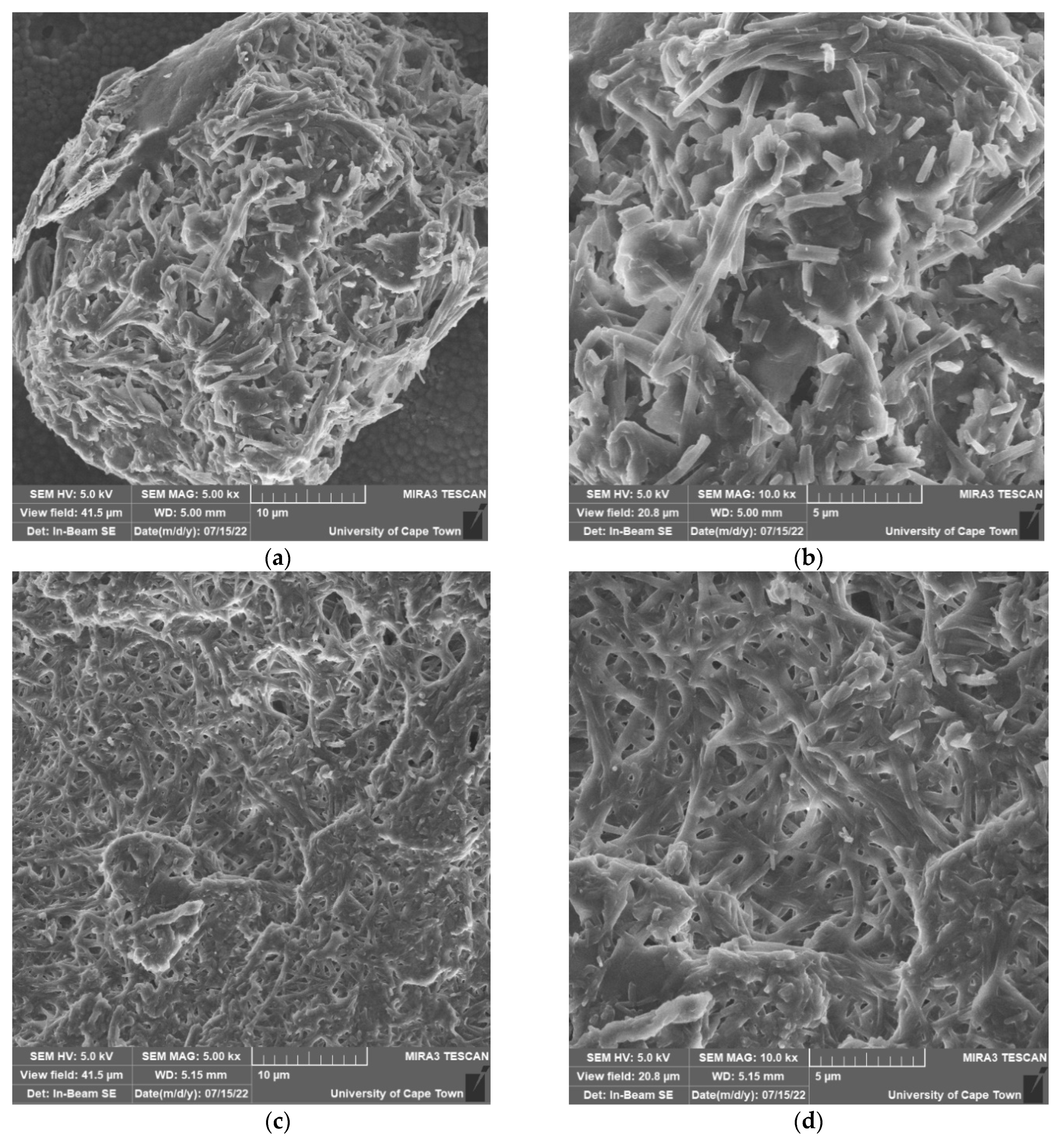 Molecules 27 06678 g007a