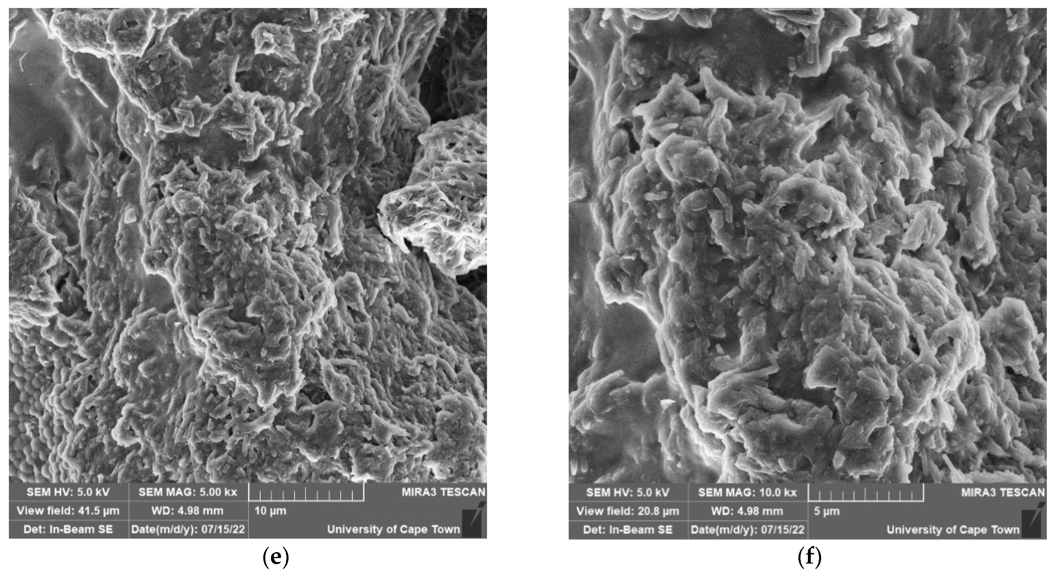 Molecules 27 06678 g007b