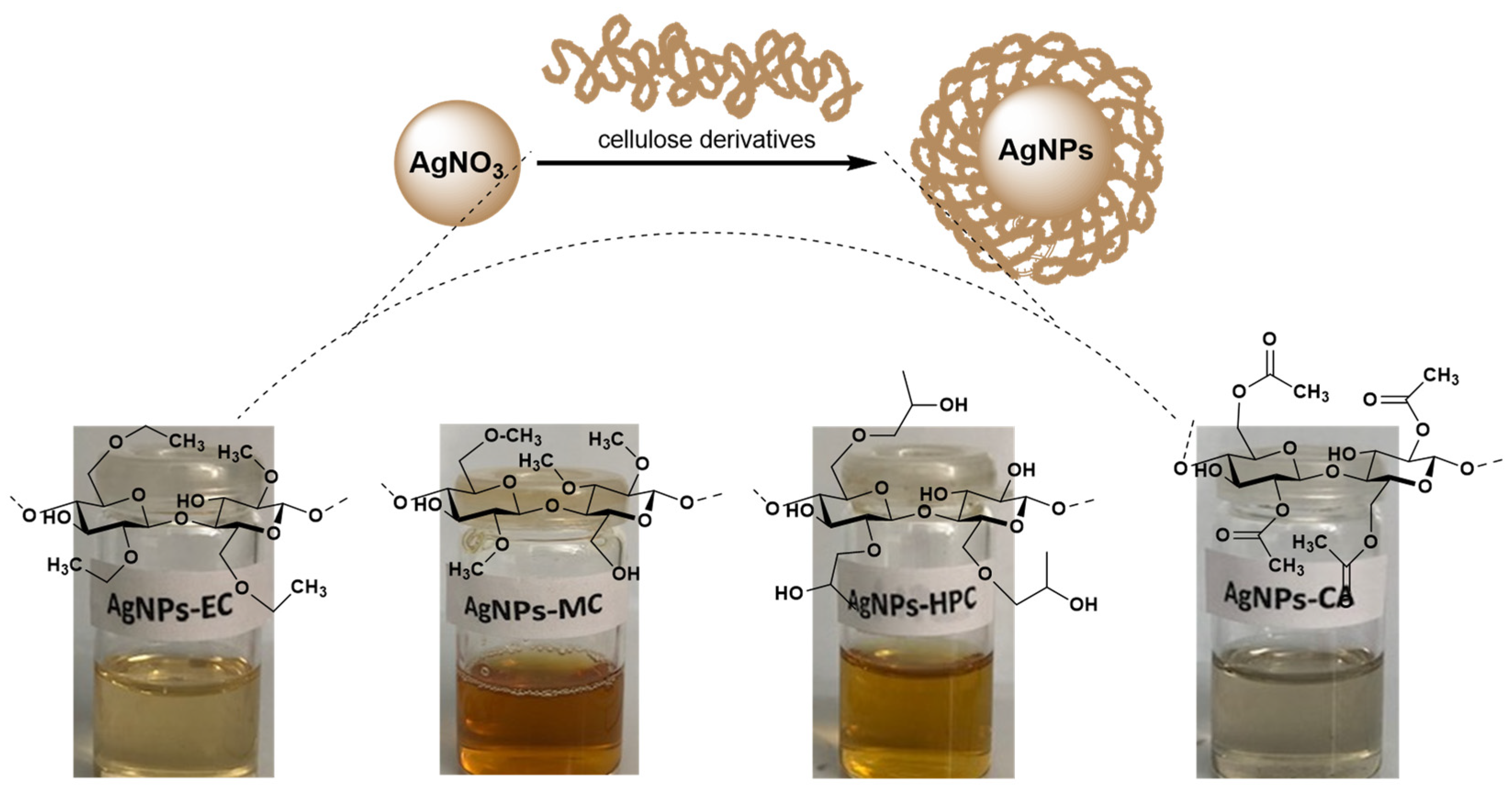 Molecules 27 06680 g002