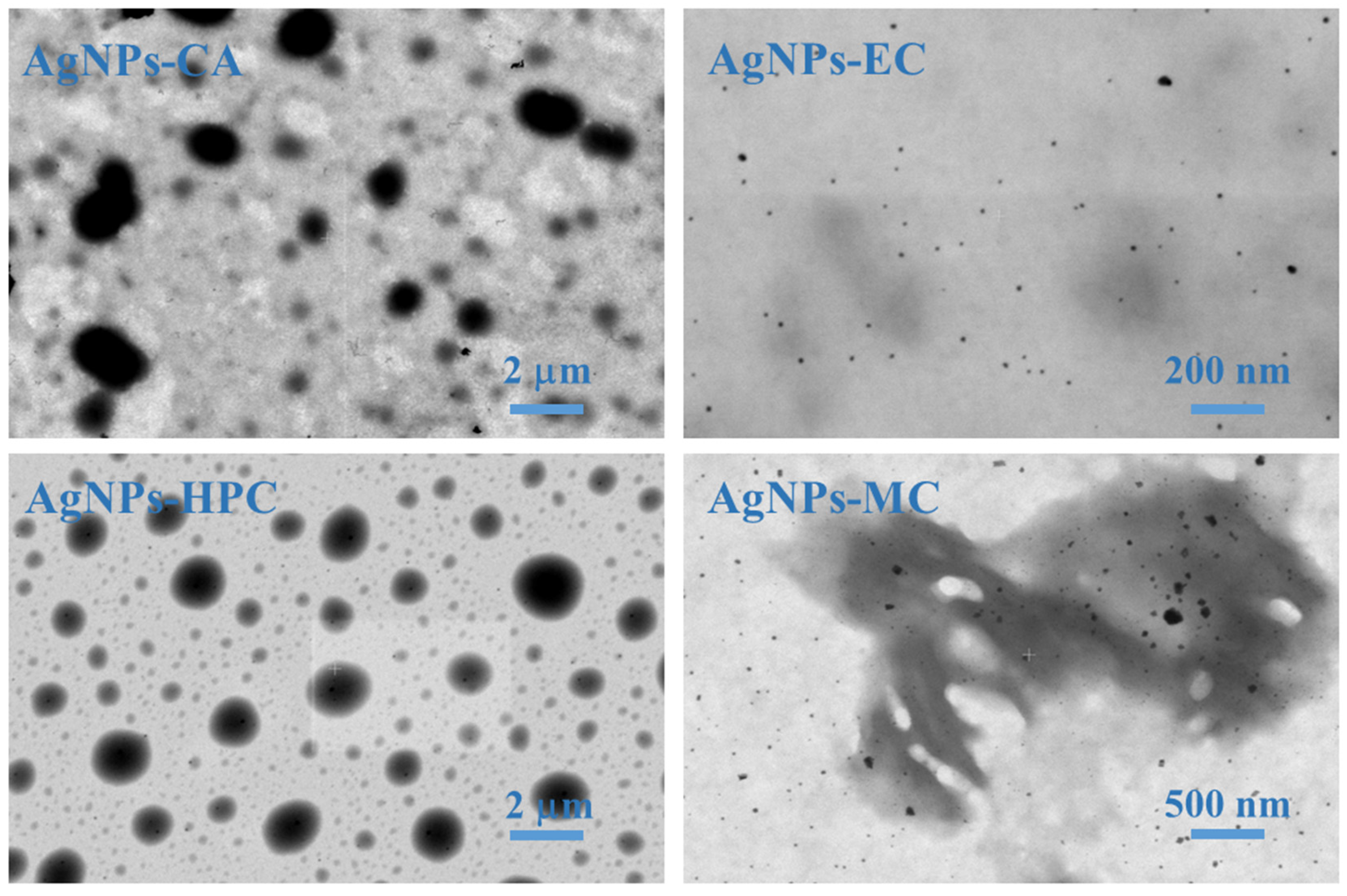 Molecules 27 06680 g004