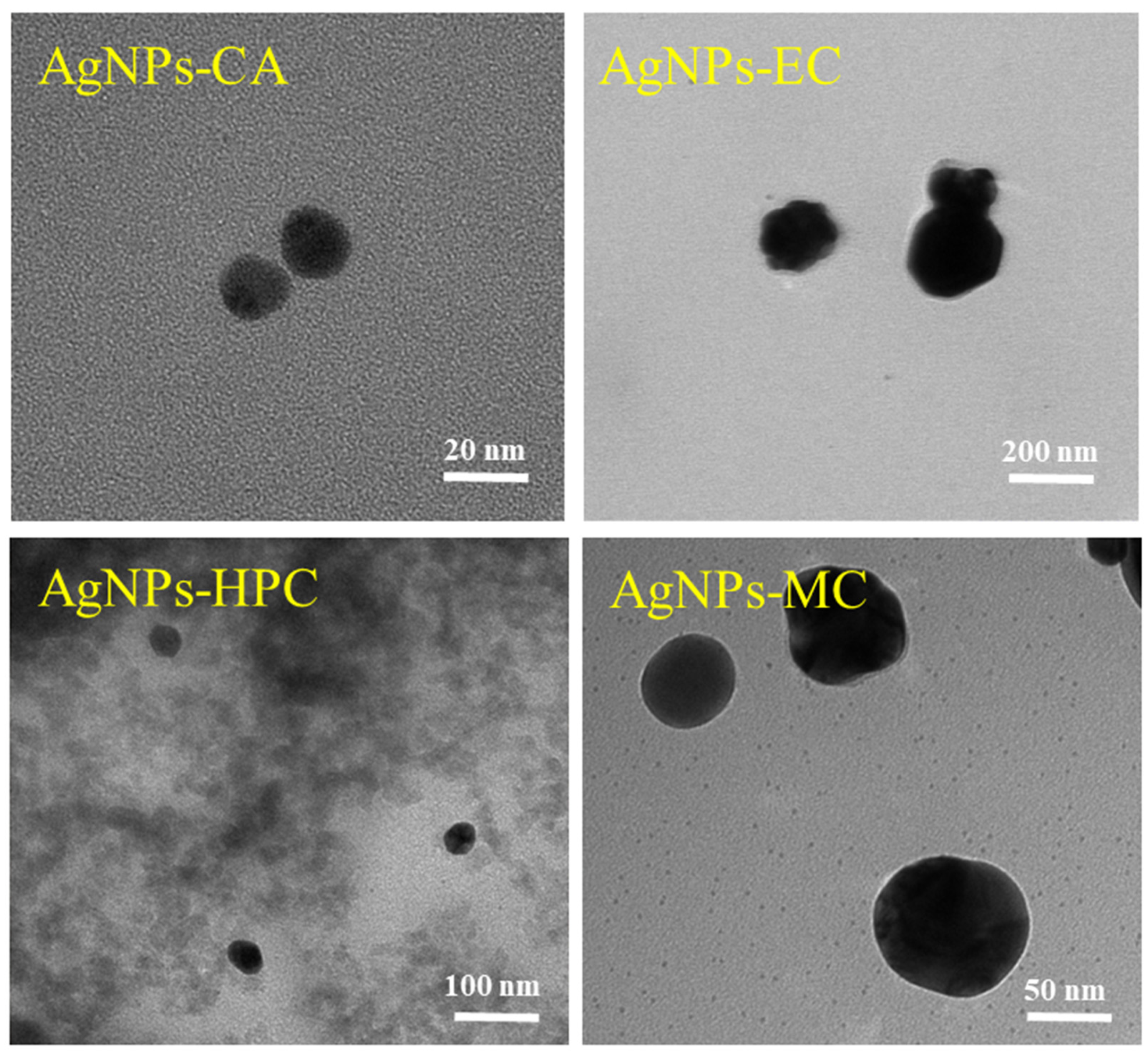 Molecules 27 06680 g005