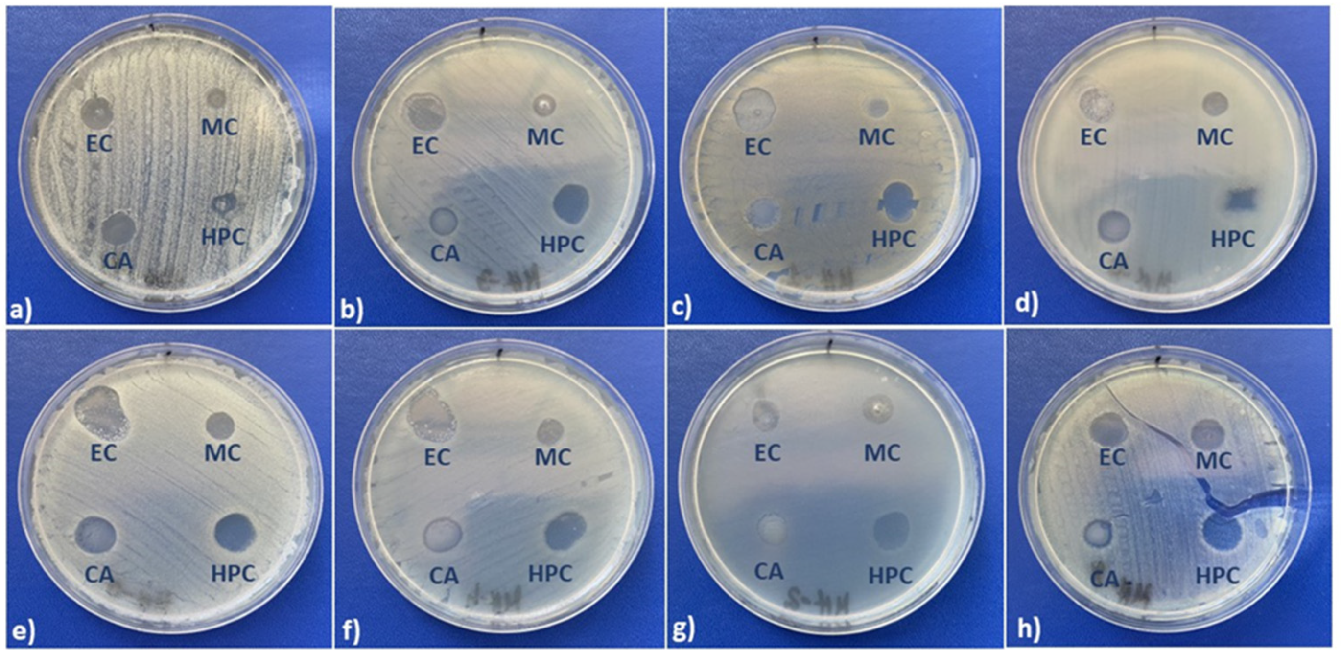Molecules 27 06680 g006