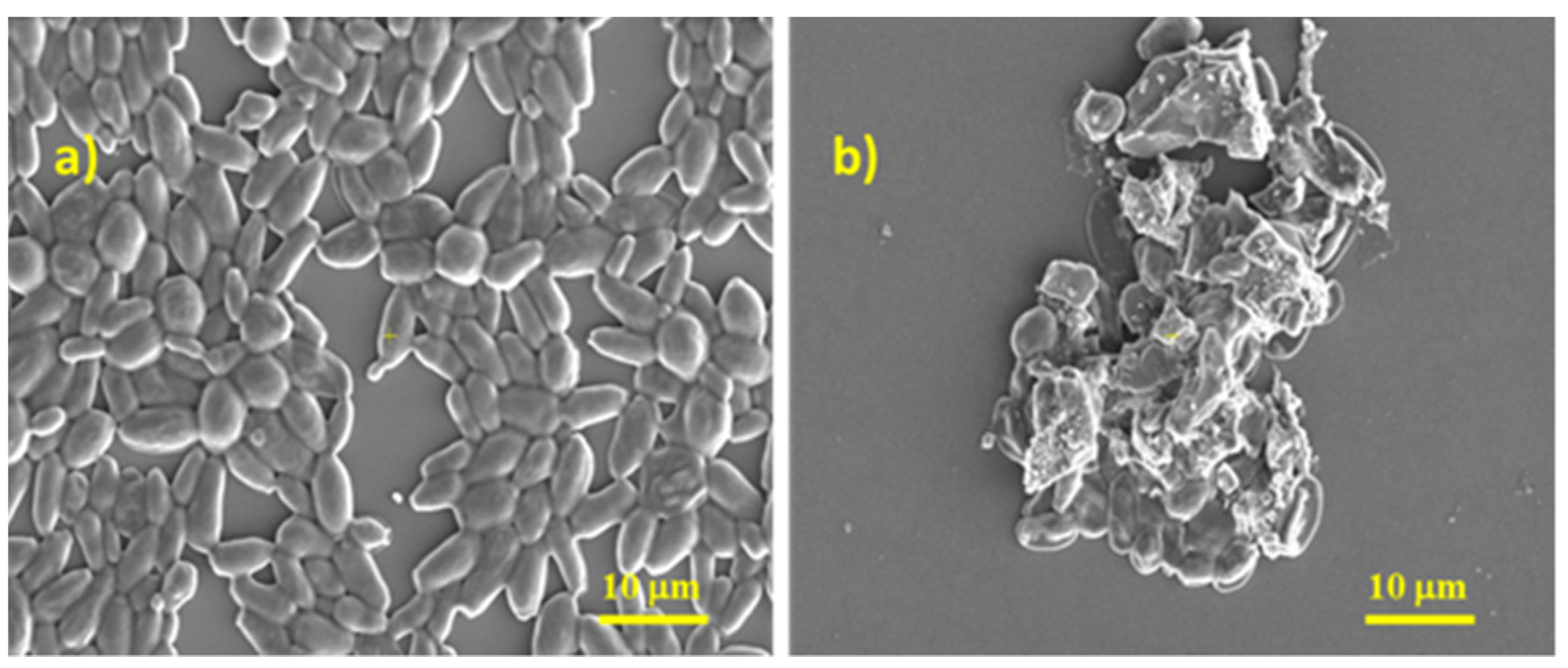 Molecules 27 06680 g007