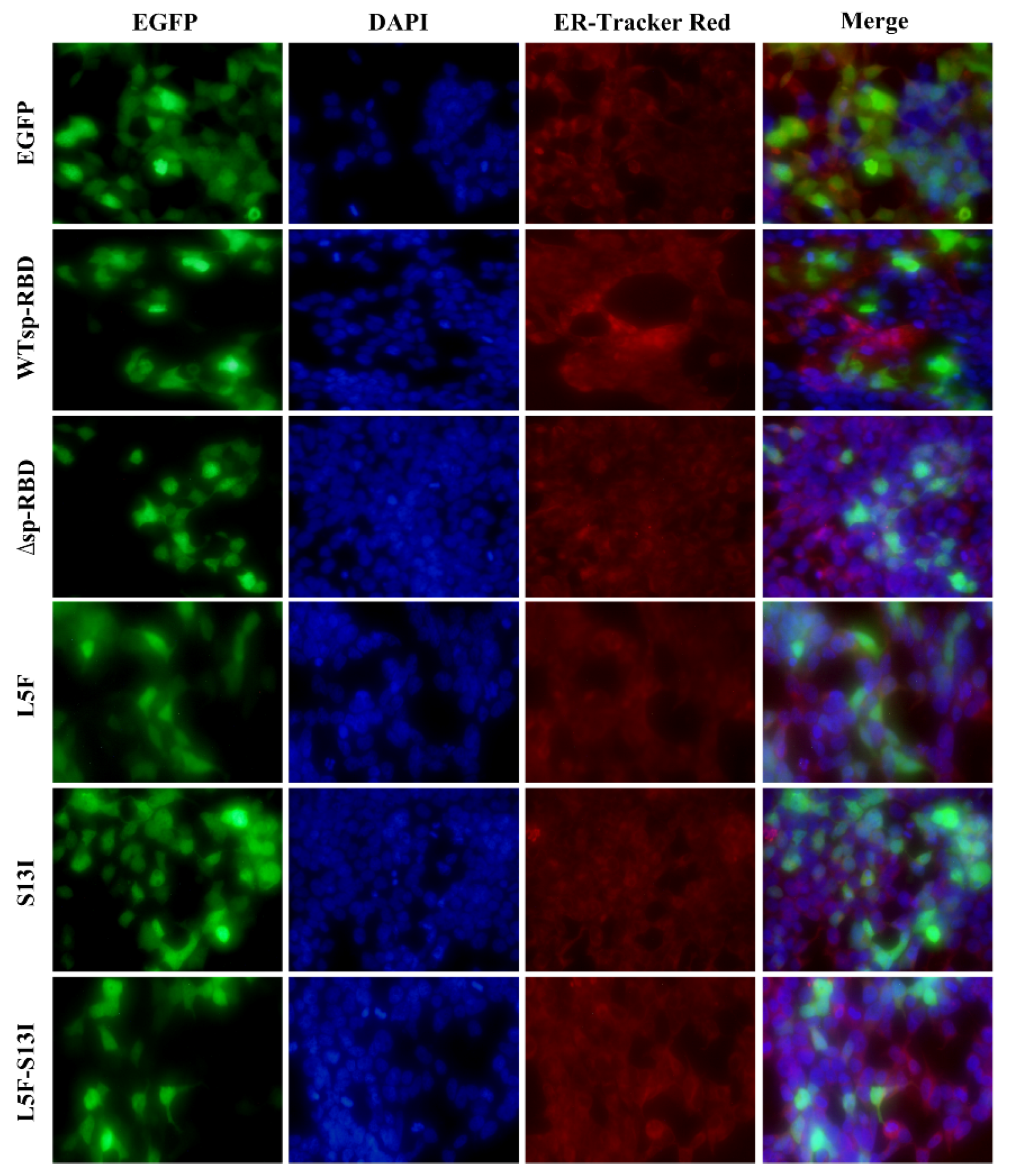 Molecules 27 06688 g002