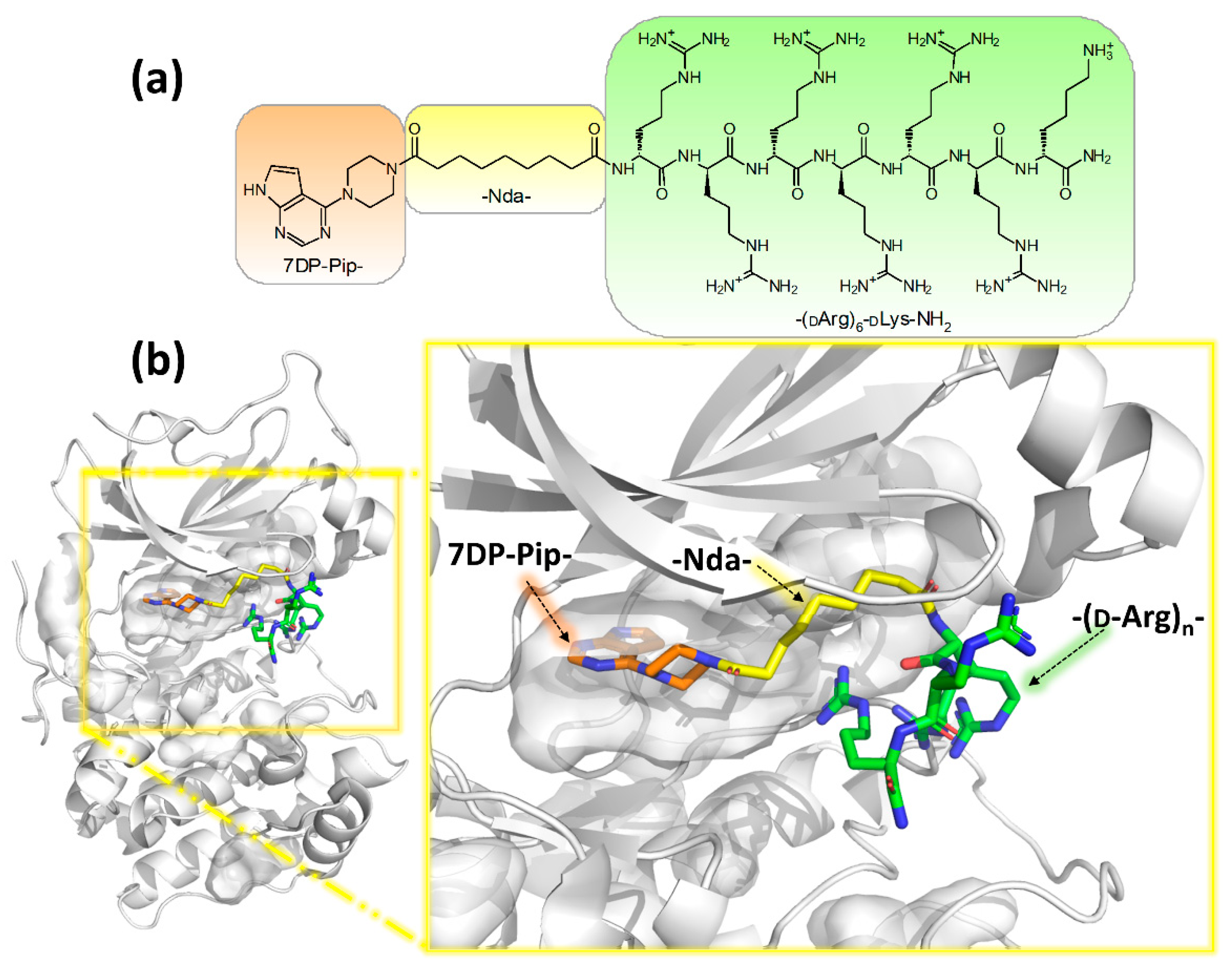 Molecules 27 06689 g002