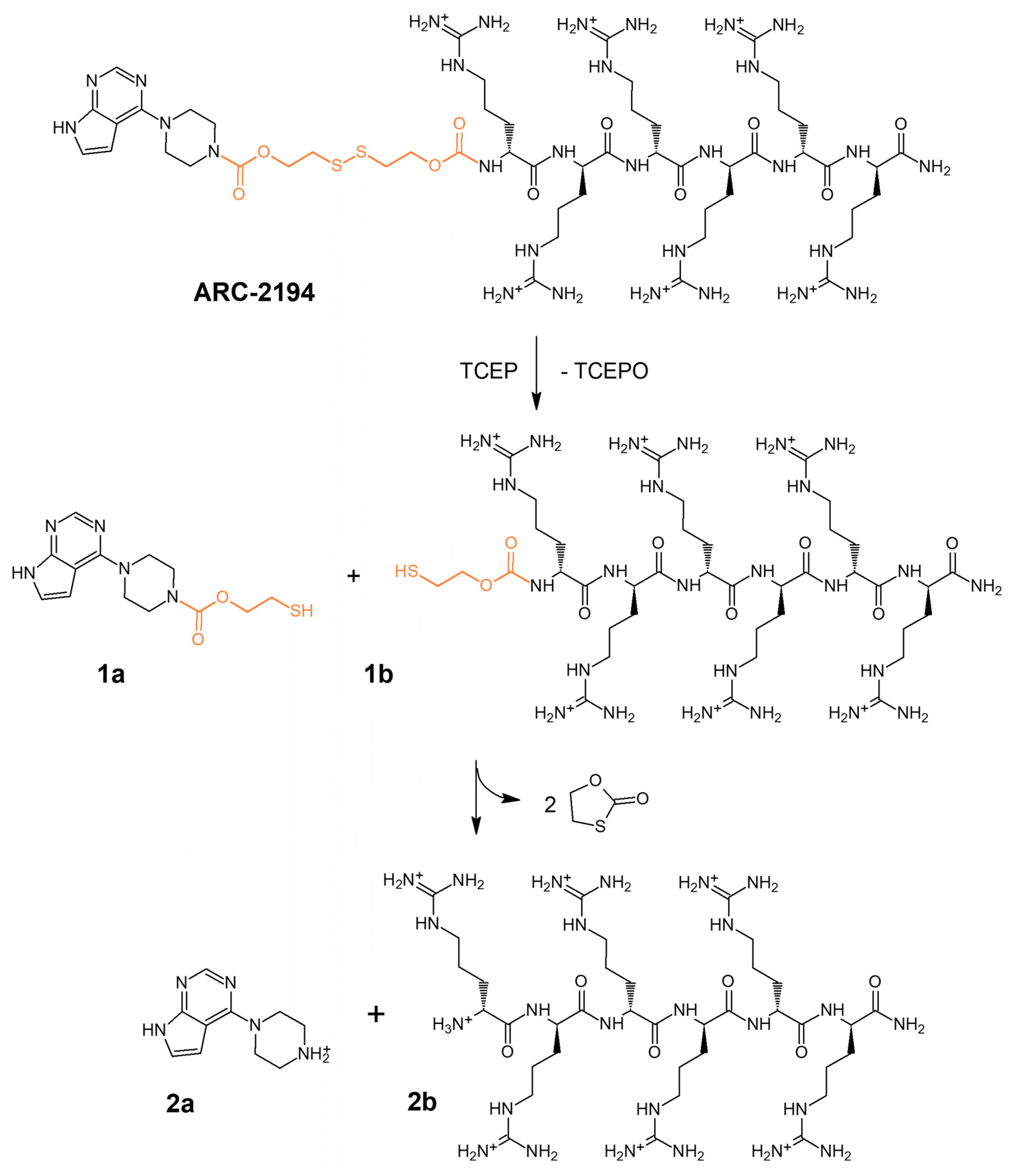 Molecules 27 06689 sch001