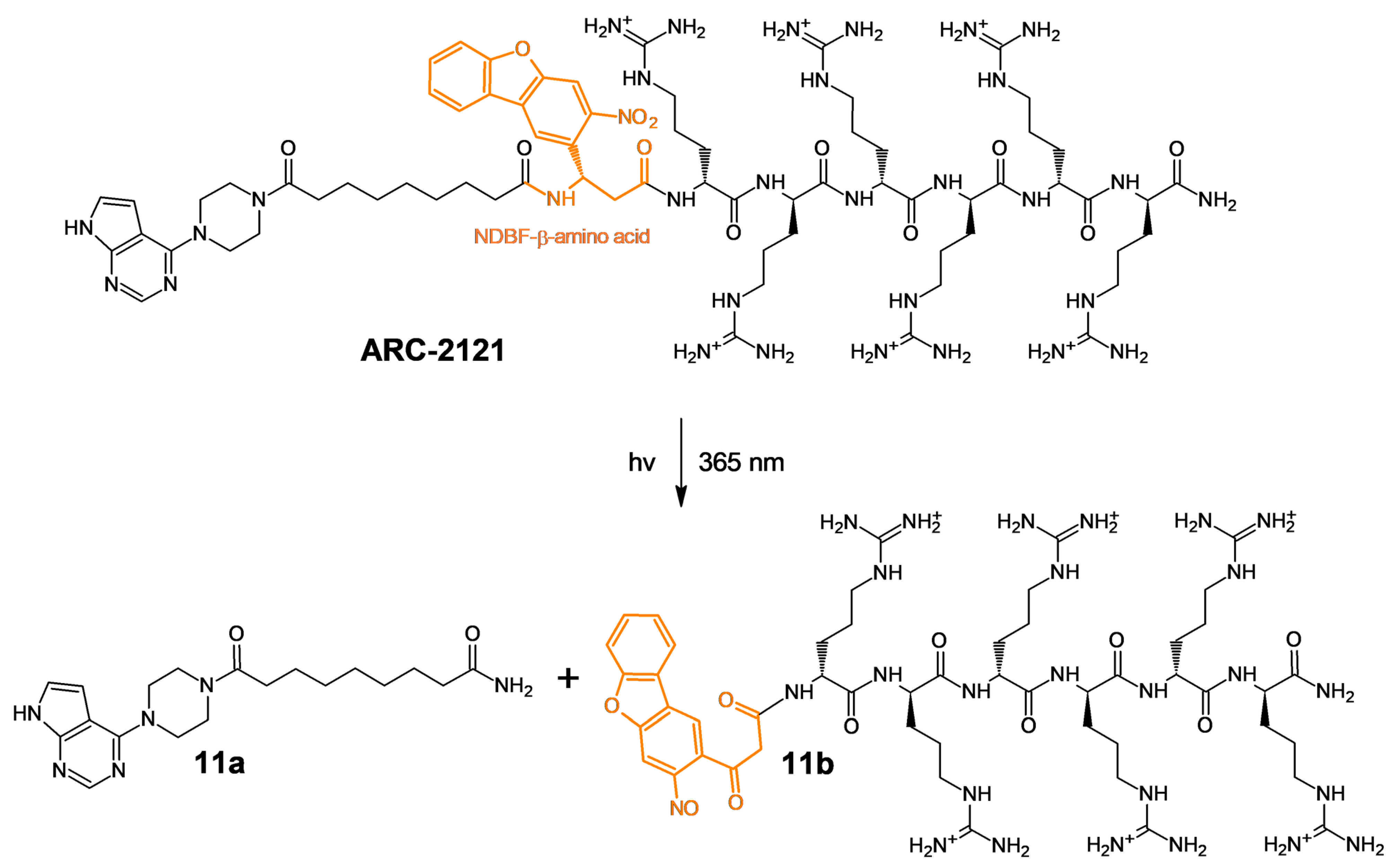 Molecules 27 06689 sch003