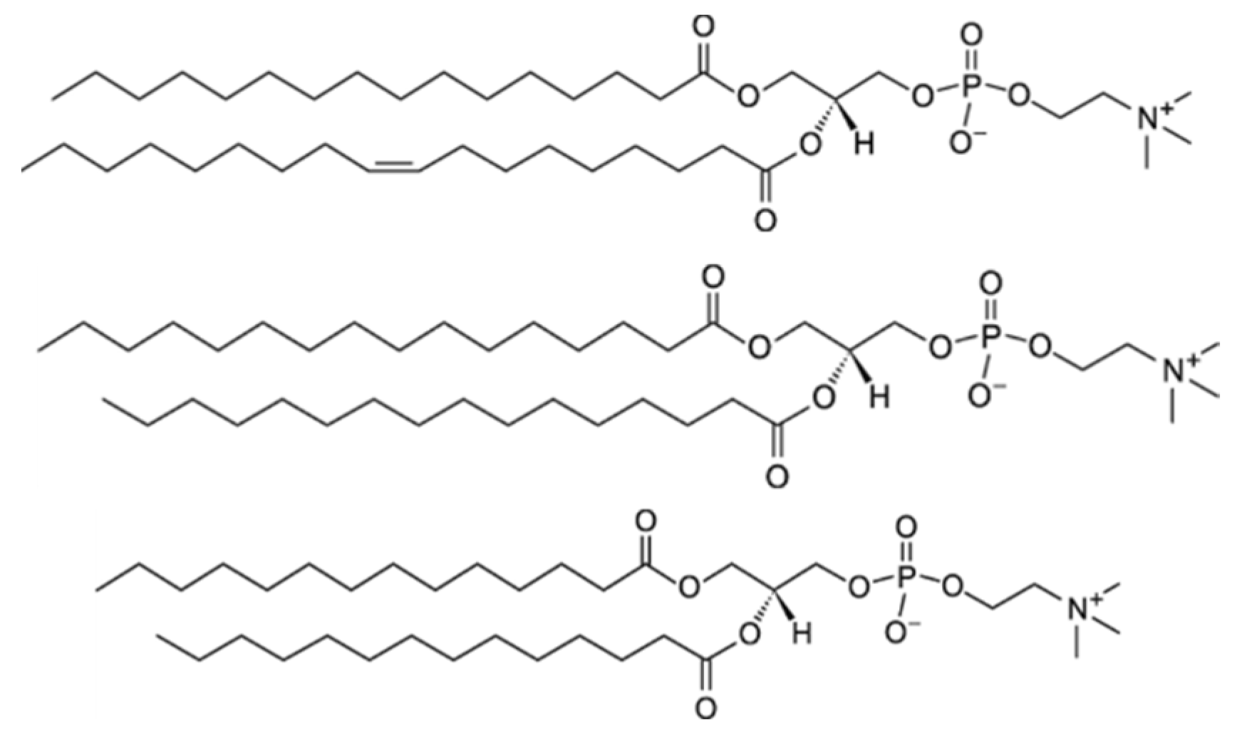 Molecules 27 06691 g001 Molecules 27 06691 g001