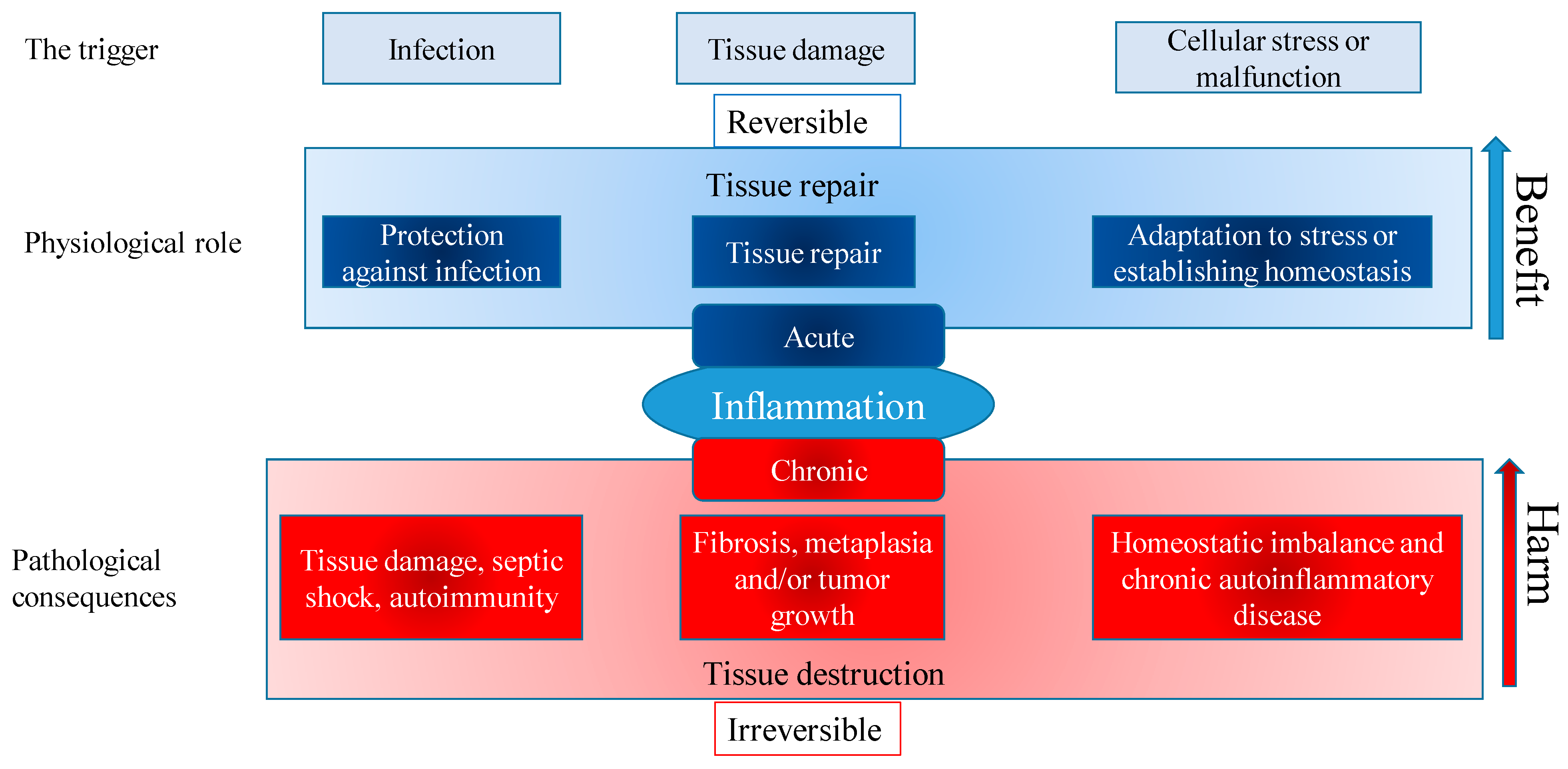Molecules 27 06694 g001