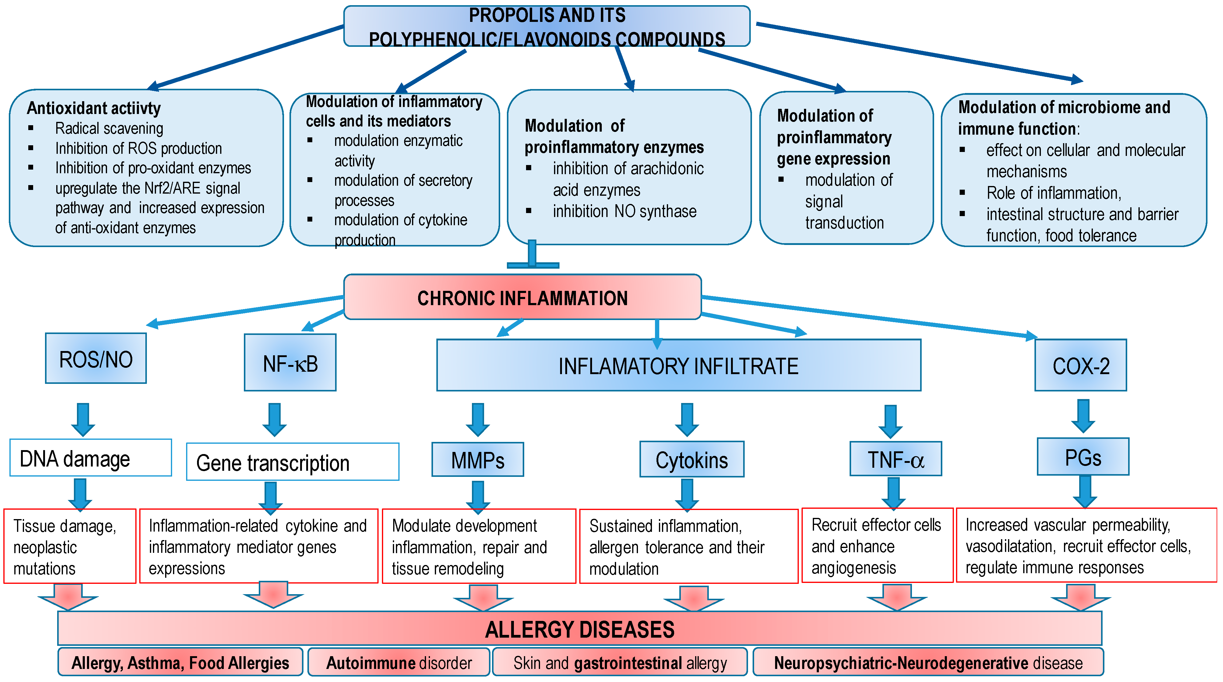 Molecules 27 06694 g004