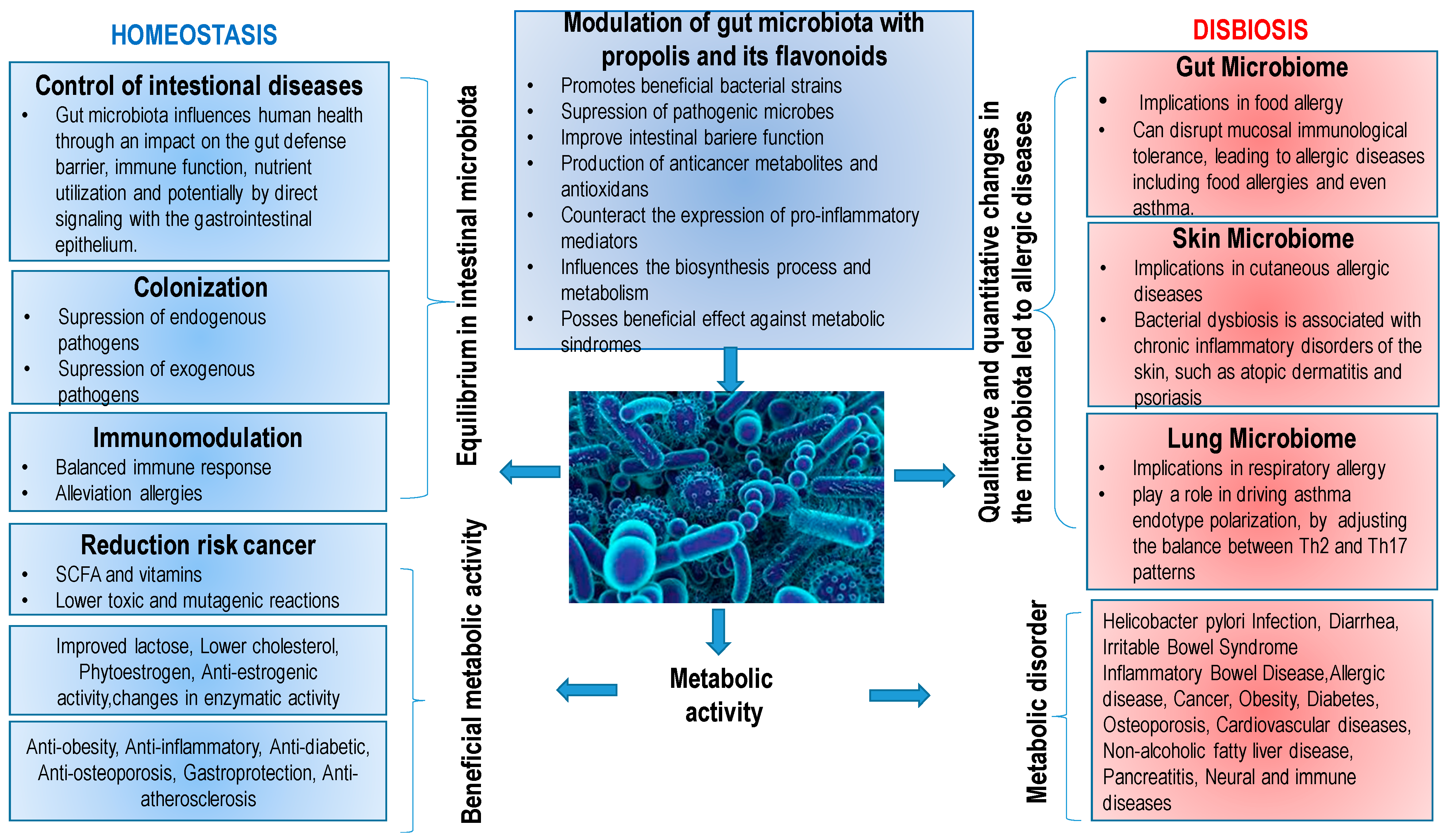 Molecules 27 06694 g006