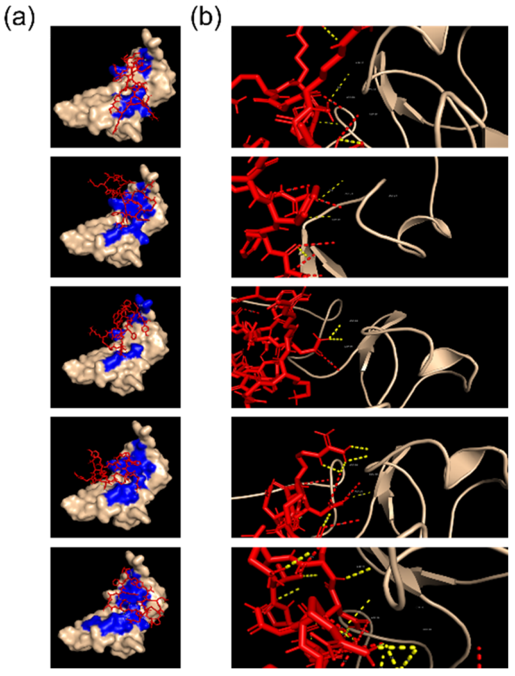Molecules 27 06696 g002