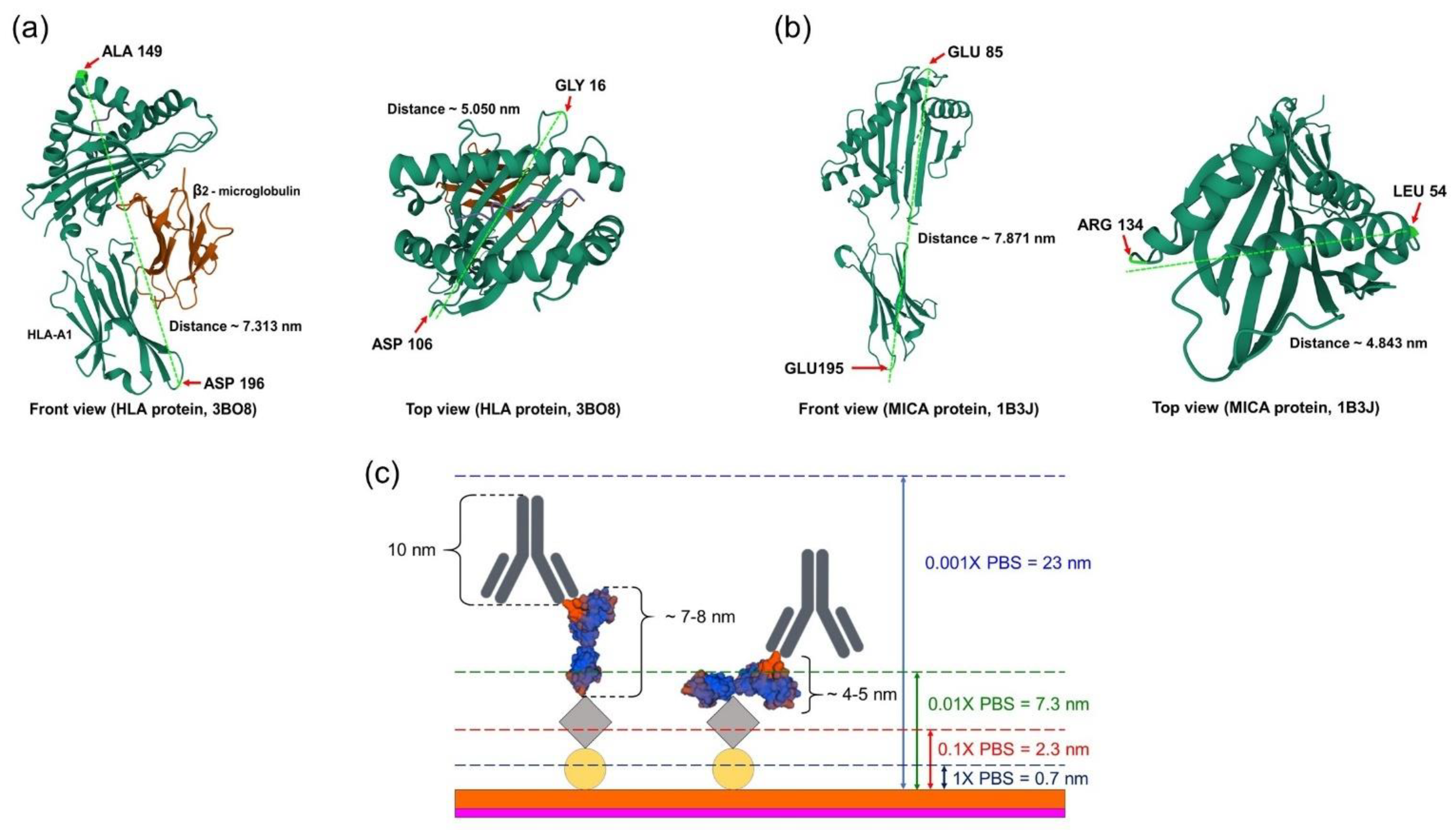 Molecules 27 06697 g006