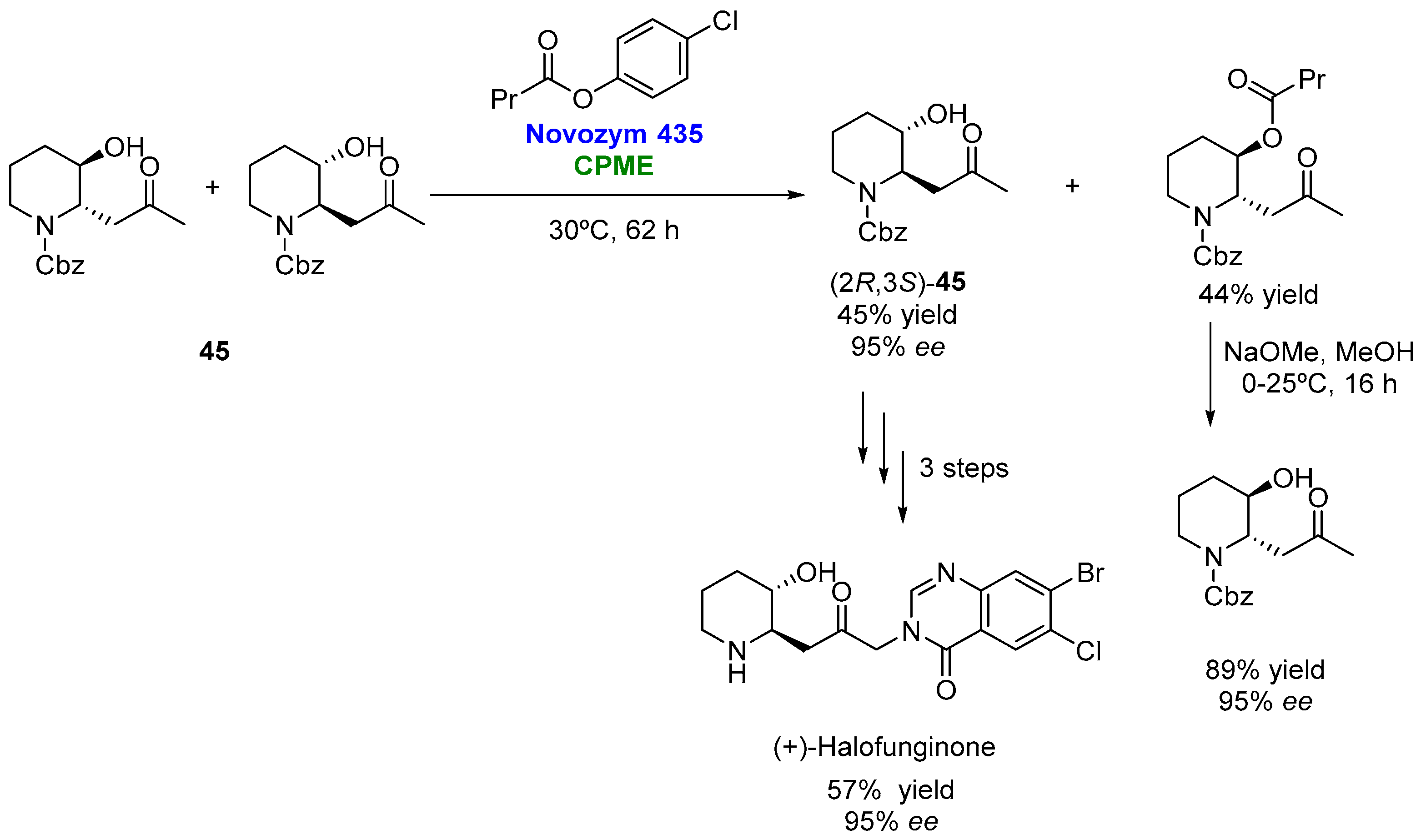 Molecules 27 06701 g023