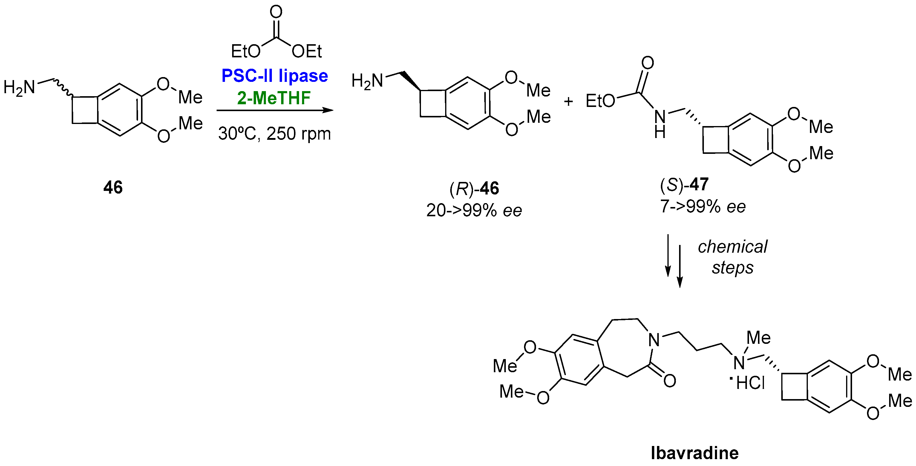 Molecules 27 06701 g024