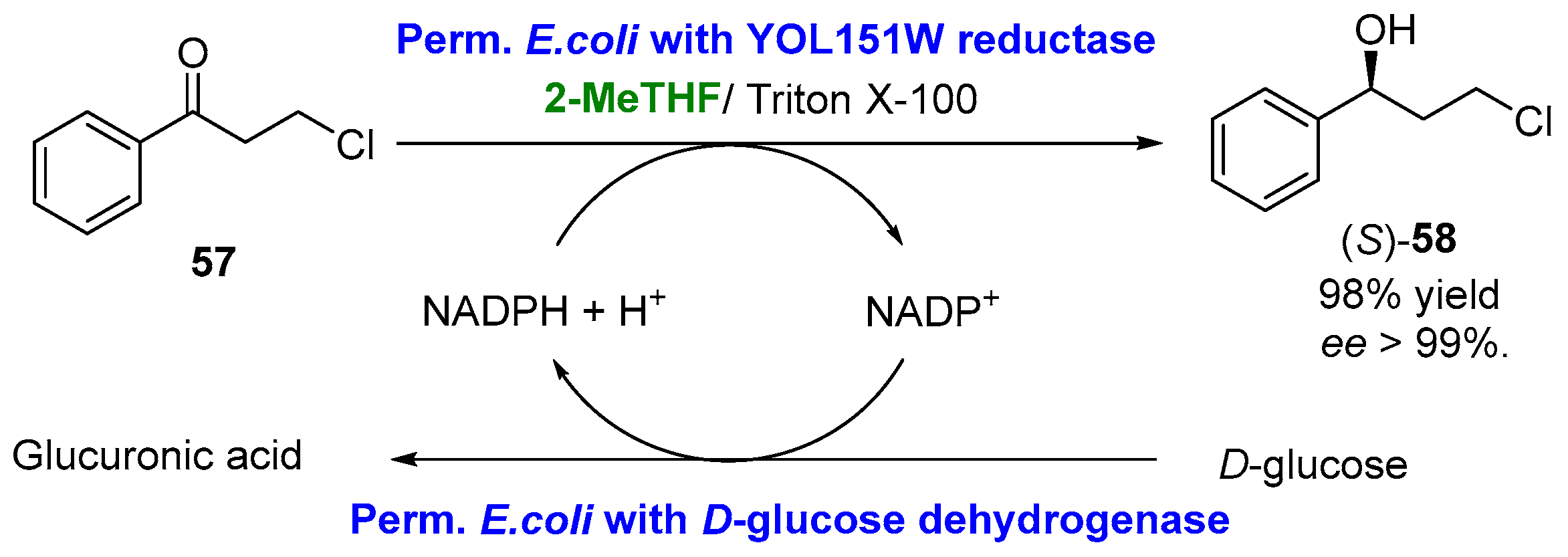 Molecules 27 06701 g030