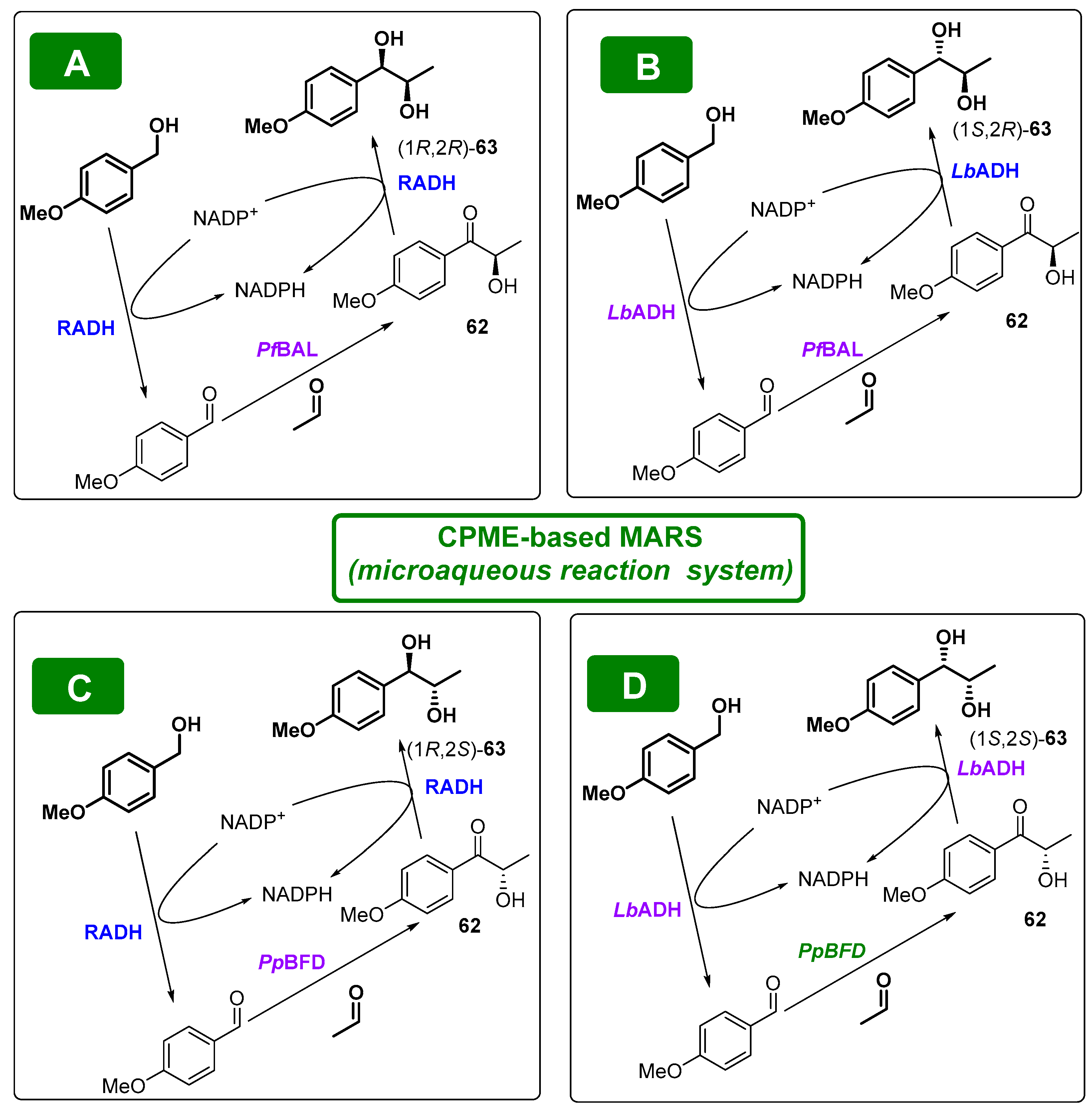 Molecules 27 06701 g032