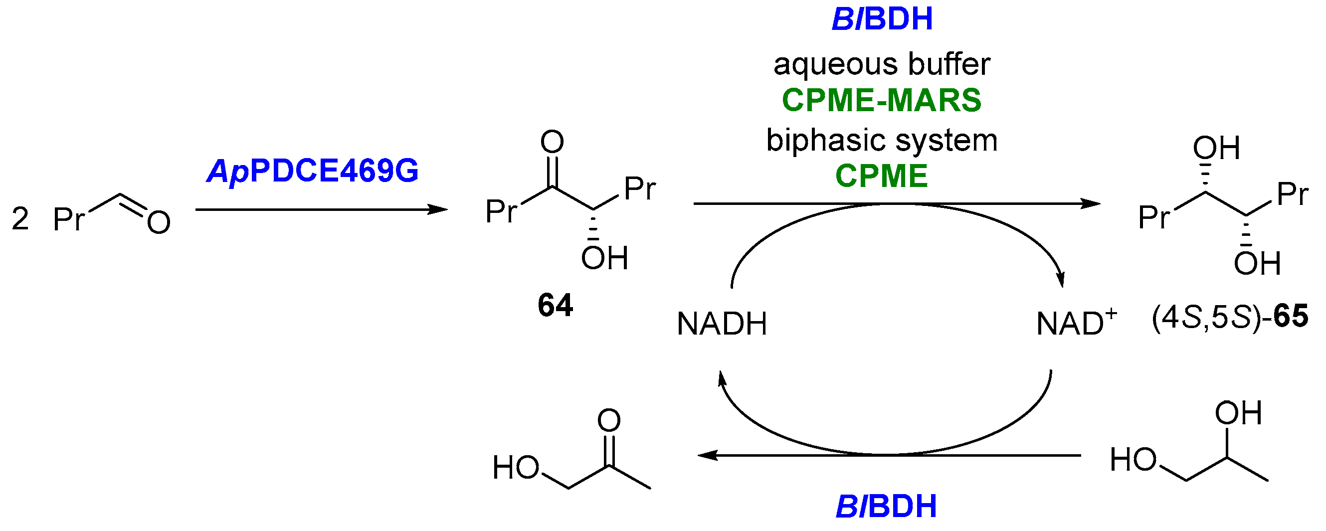 Molecules 27 06701 g033