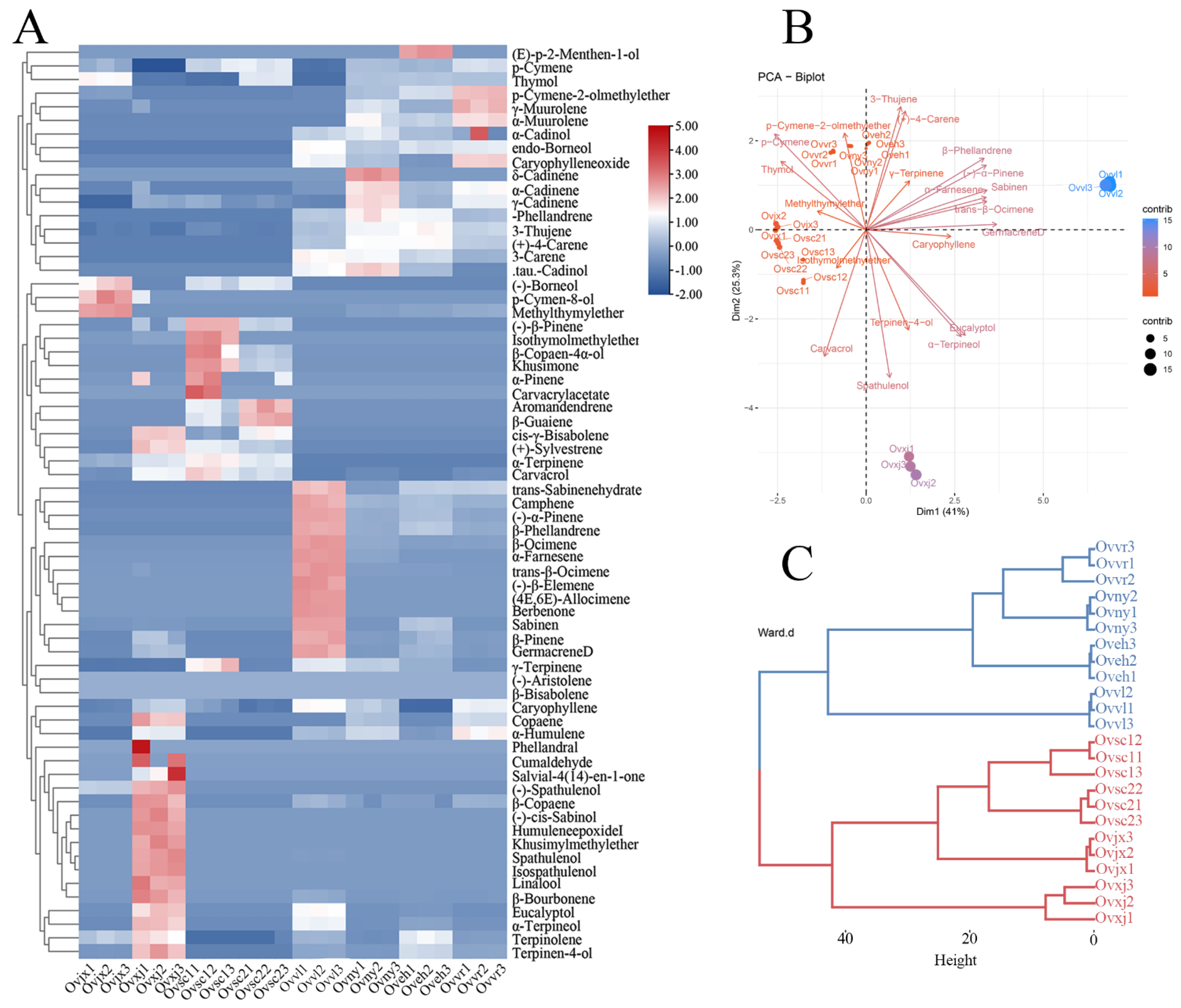 Molecules 27 06702 g001