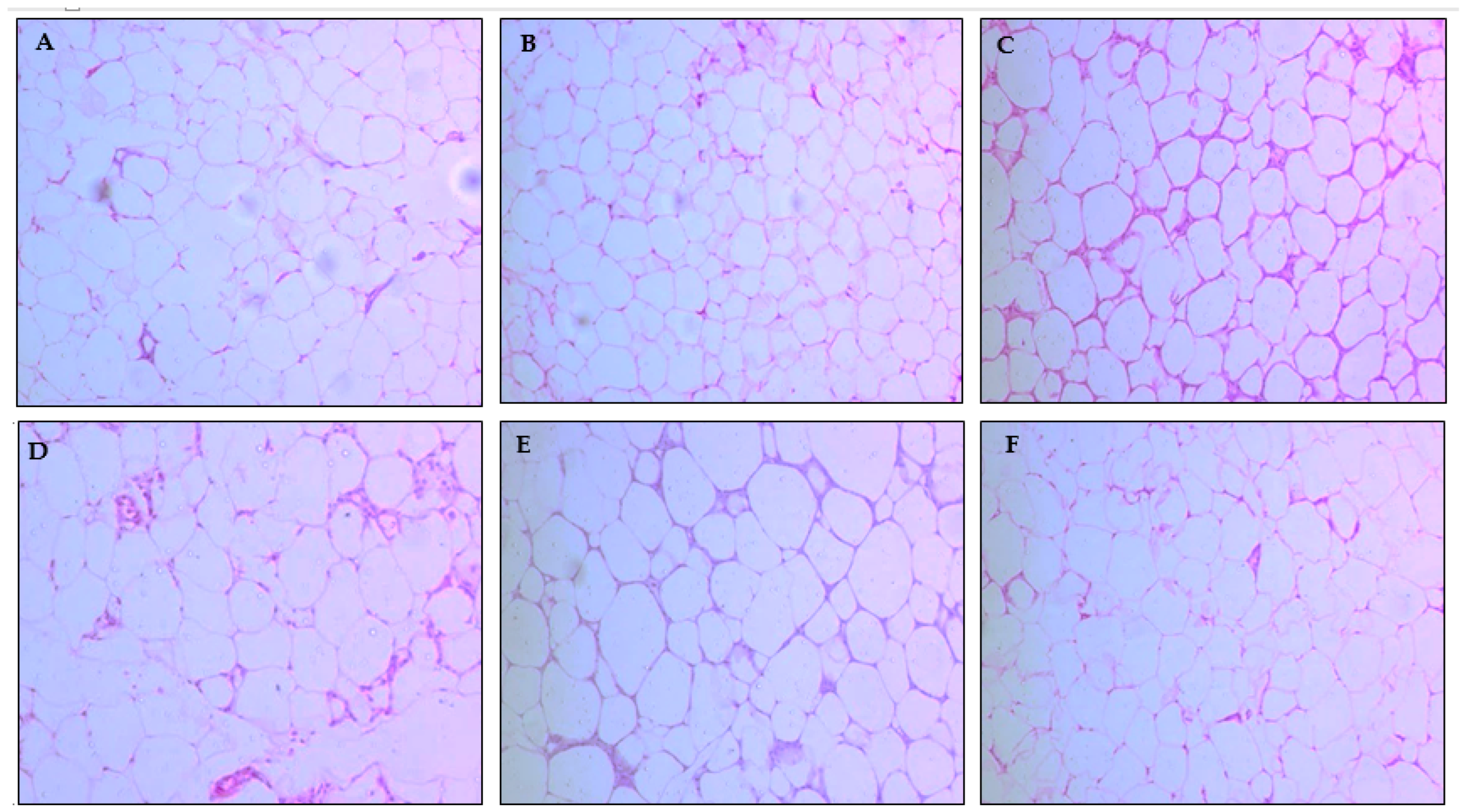 Molecules 27 06705 g002