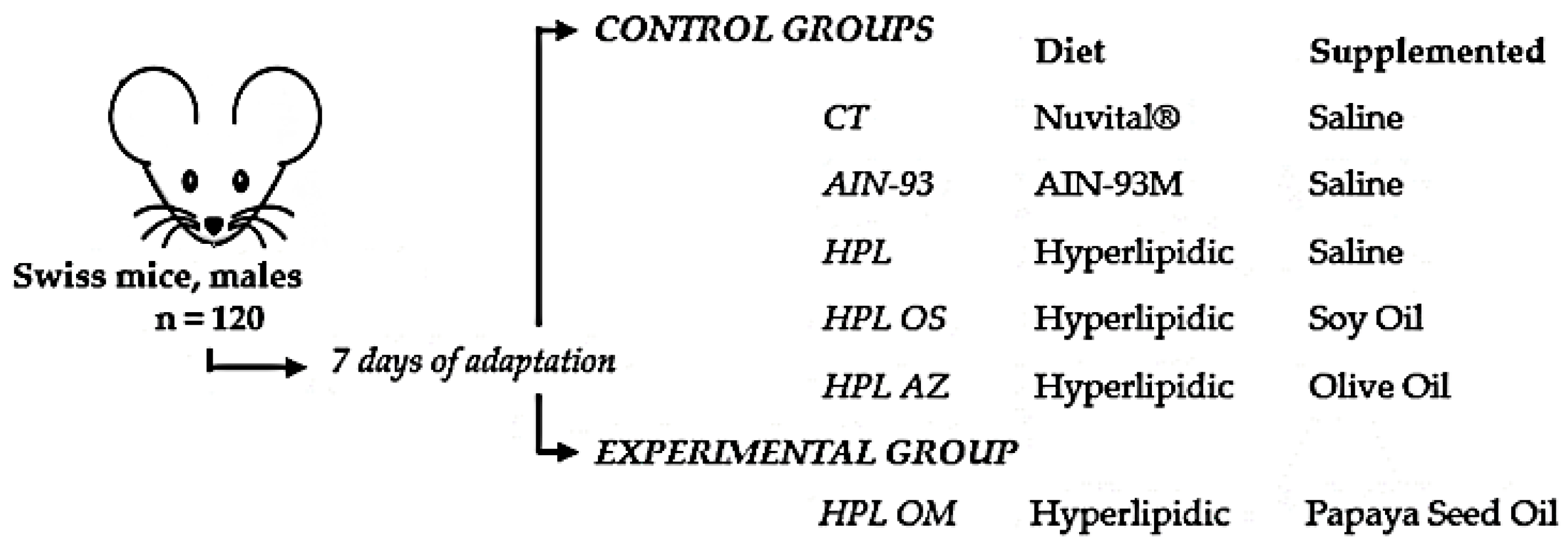 Molecules 27 06705 g008