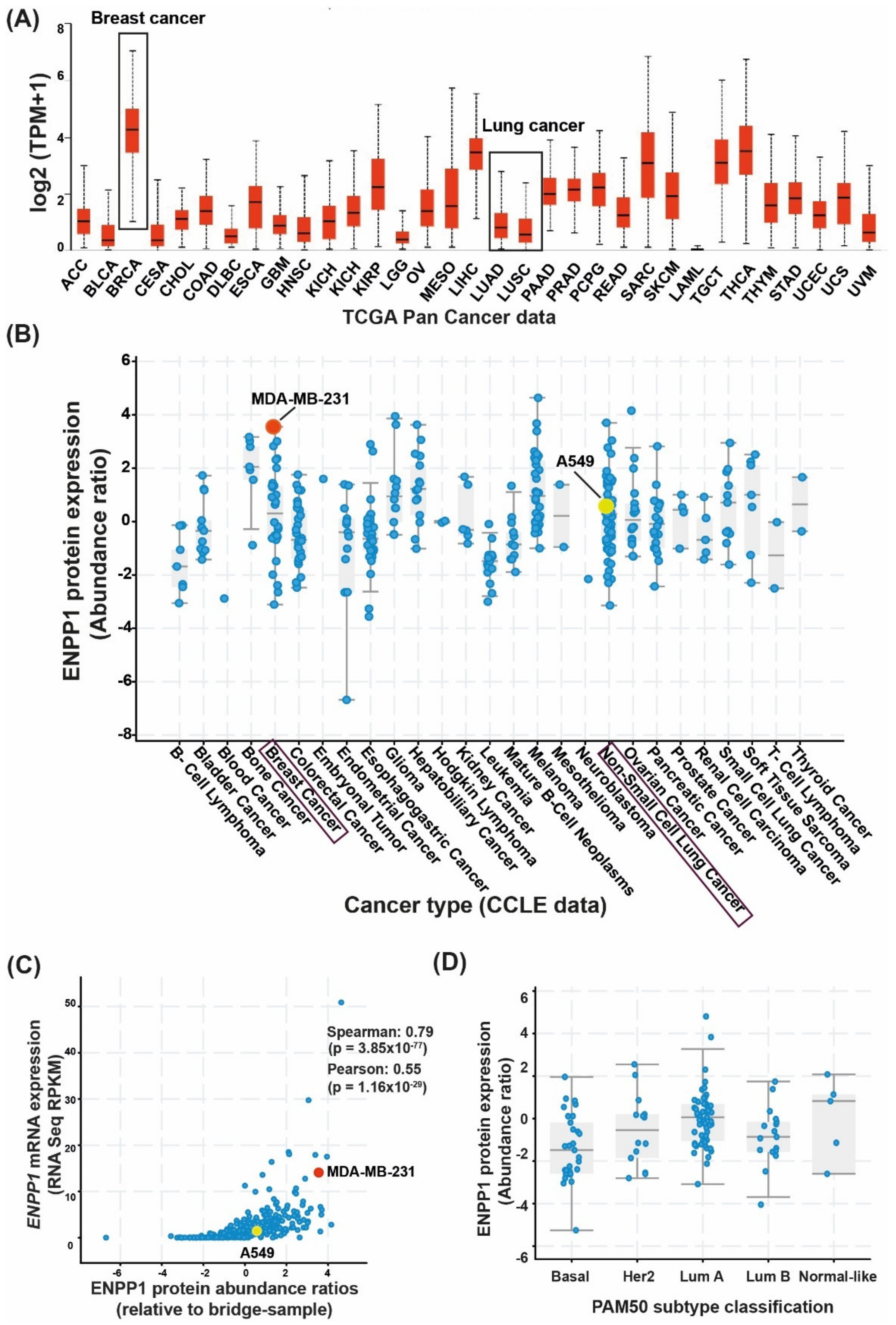 Molecules 27 06721 g001