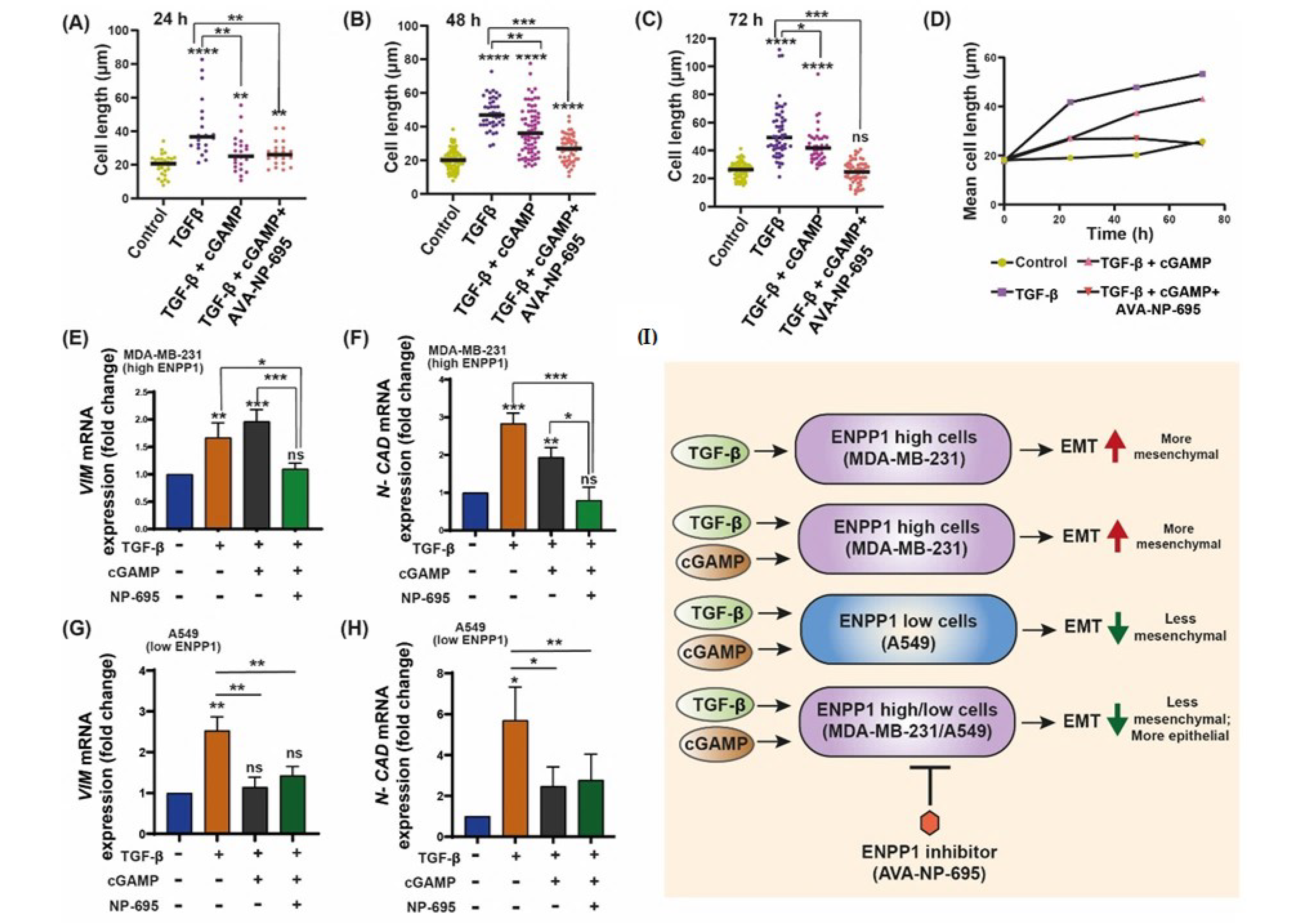 Molecules 27 06721 g005