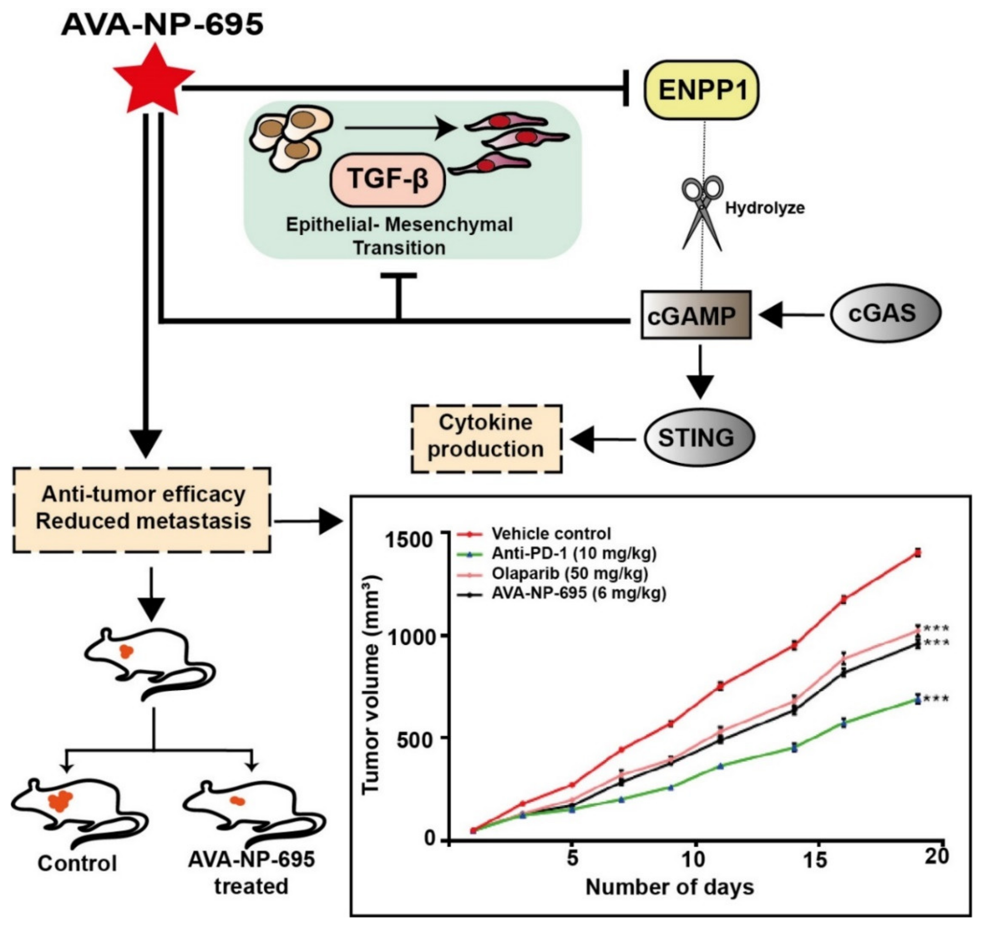 Molecules 27 06721 g007