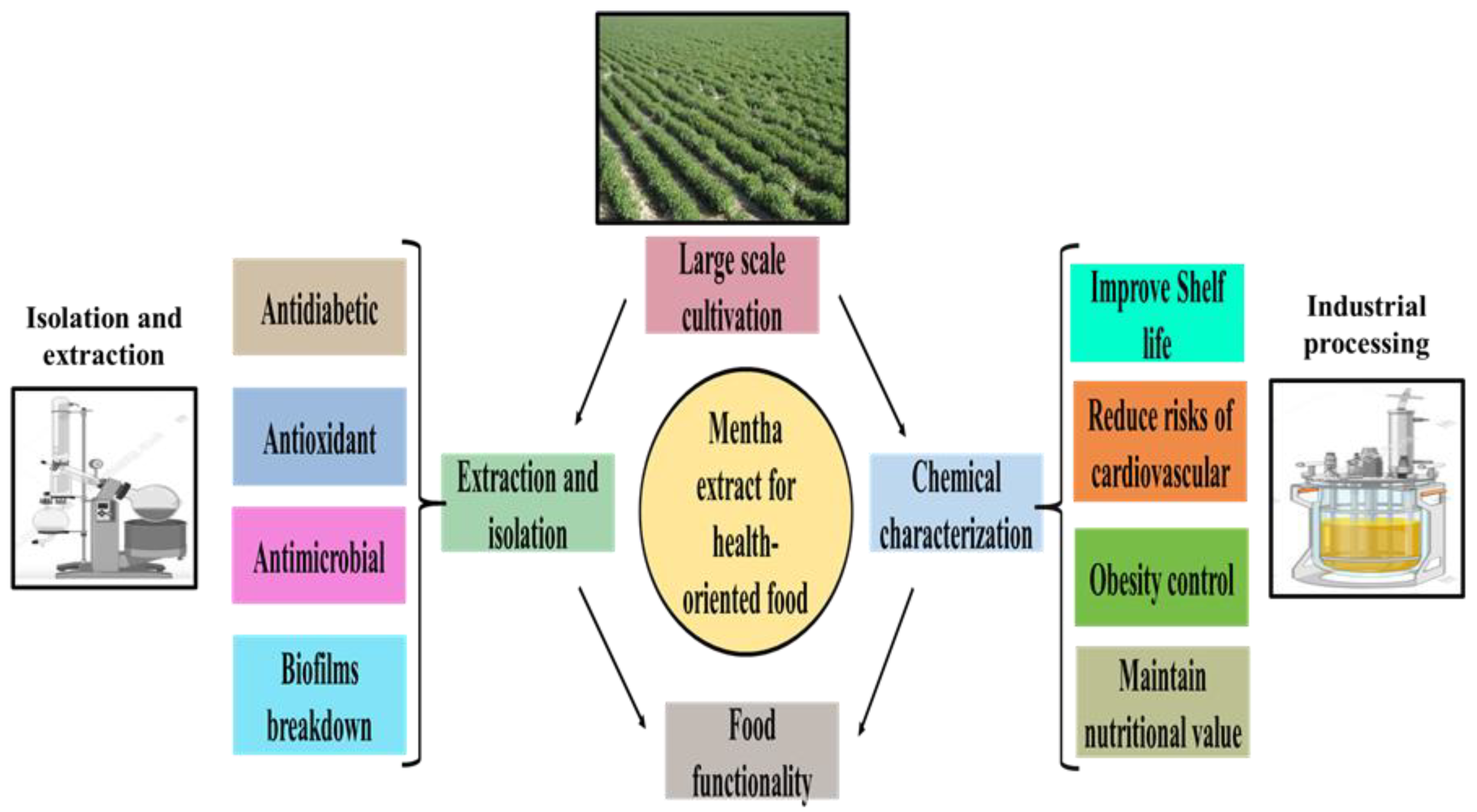 Molecules 27 06728 g004 Molecules 27 06728 g004