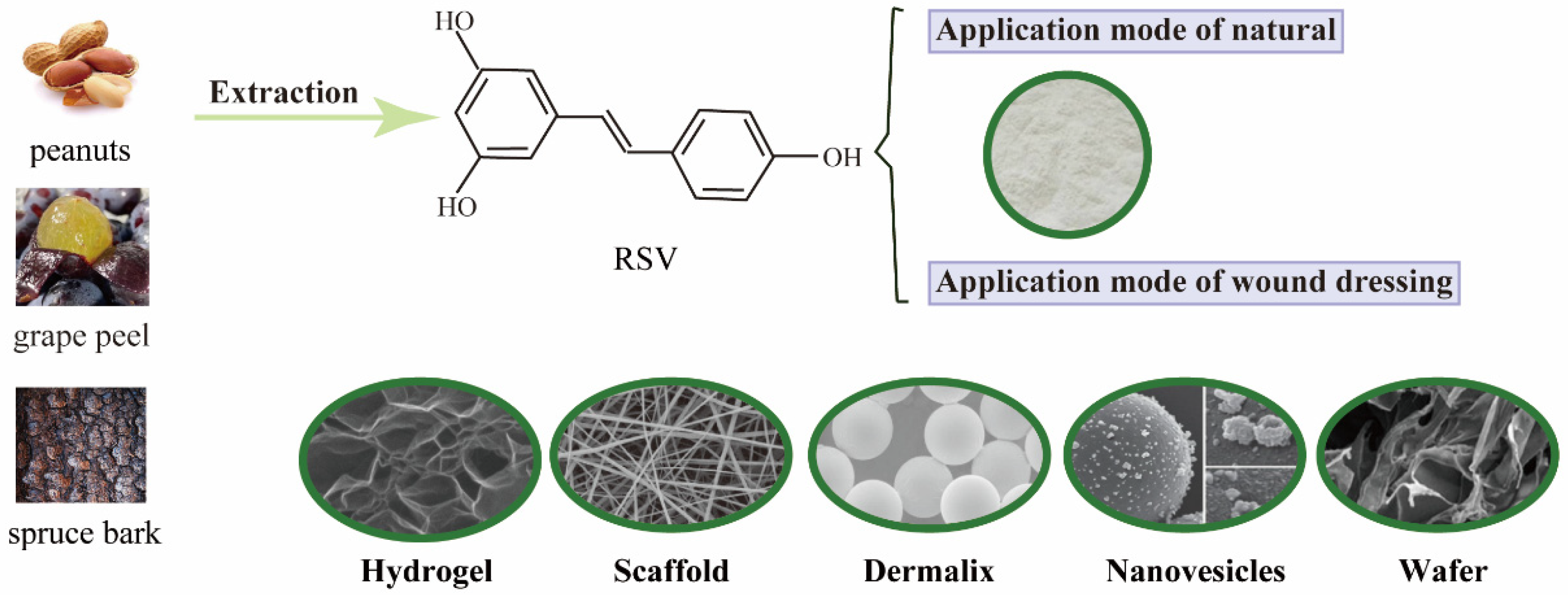 Molecules 27 06736 g001 Molecules 27 06736 g001