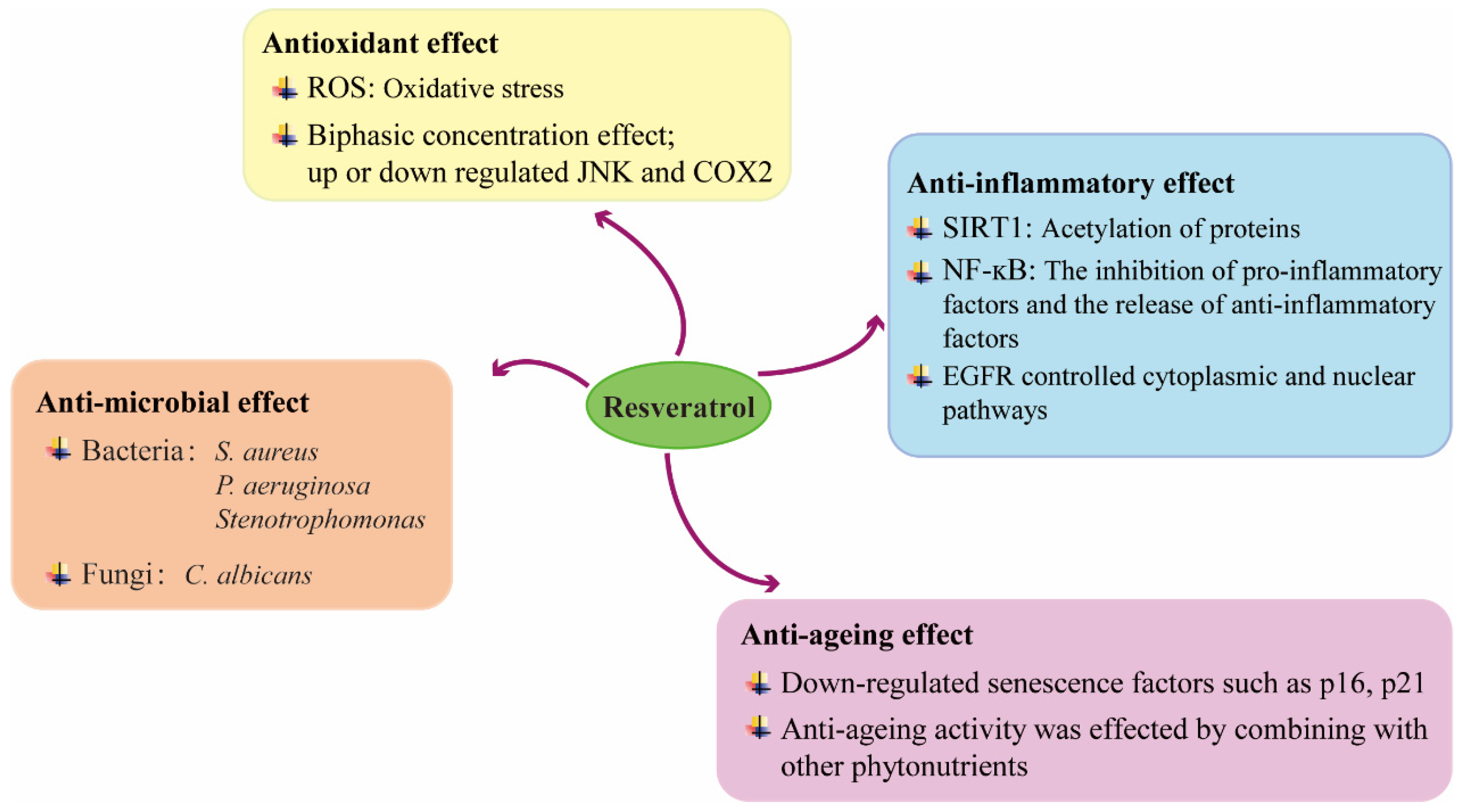 Molecules 27 06736 g003 Molecules 27 06736 g003