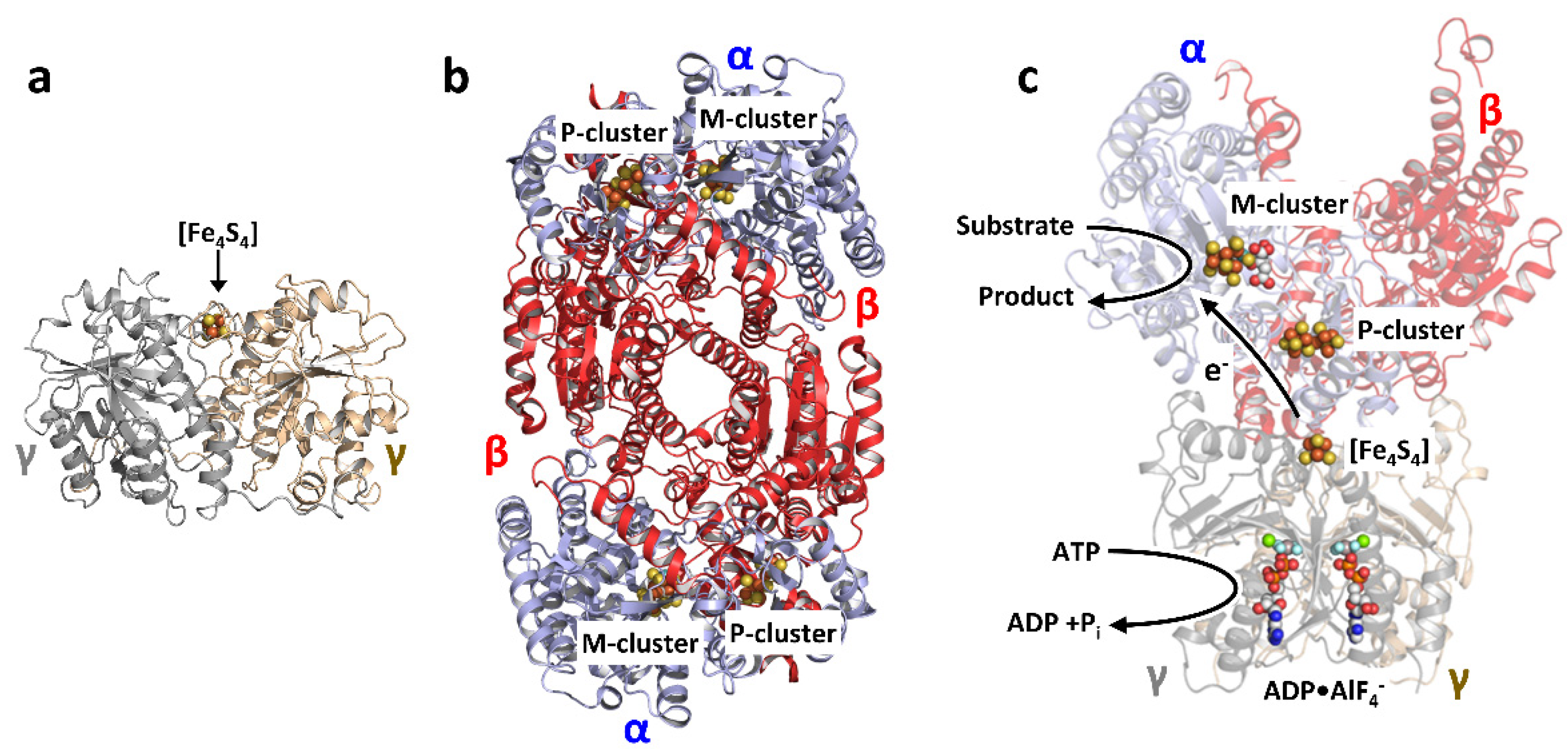 Molecules 27 06743 g001 Molecules 27 06743 g001