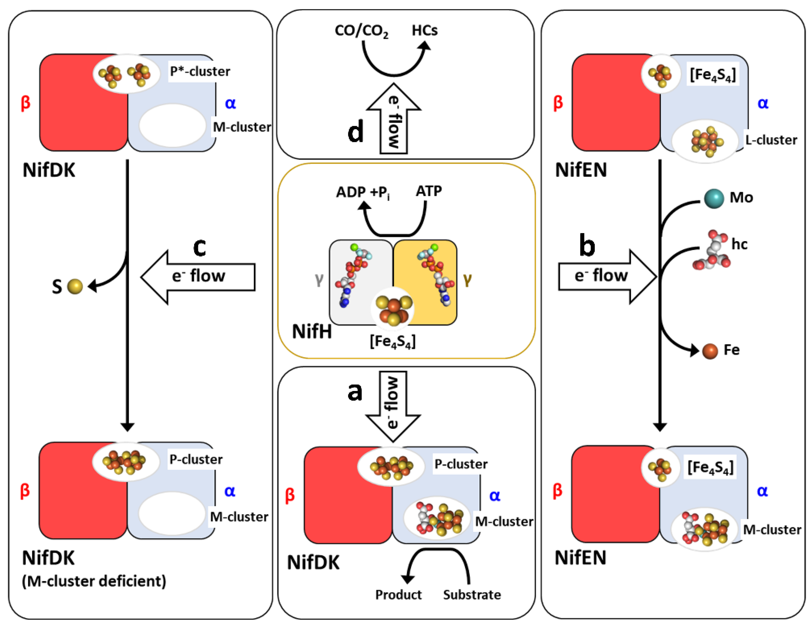 Molecules 27 06743 g002 Molecules 27 06743 g002