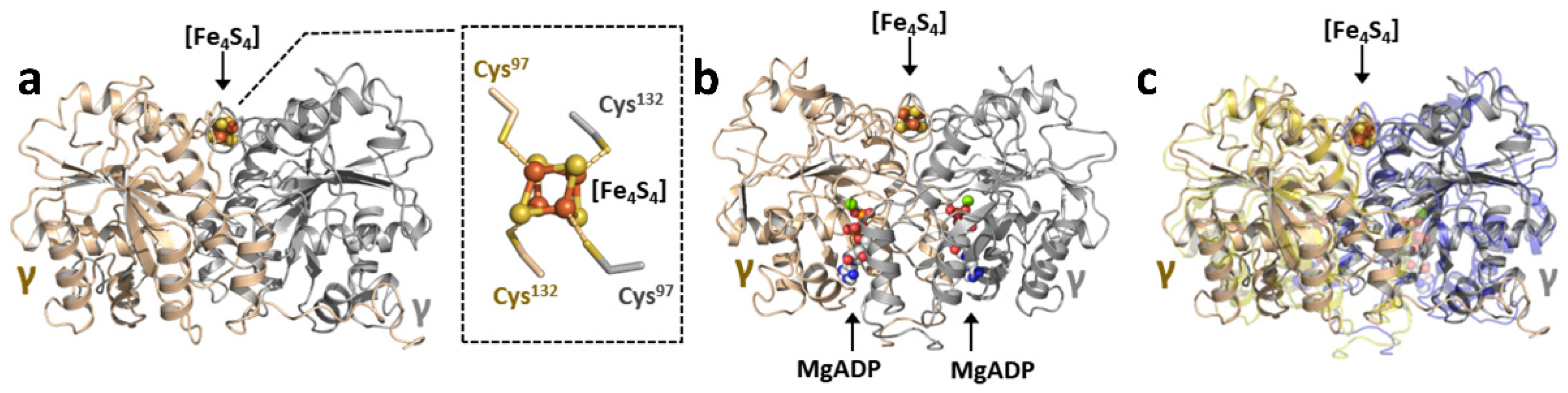 Molecules 27 06743 g003 Molecules 27 06743 g003
