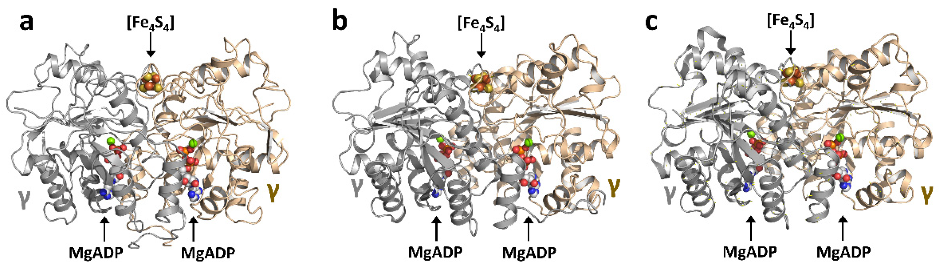 Molecules 27 06743 g006 Molecules 27 06743 g006