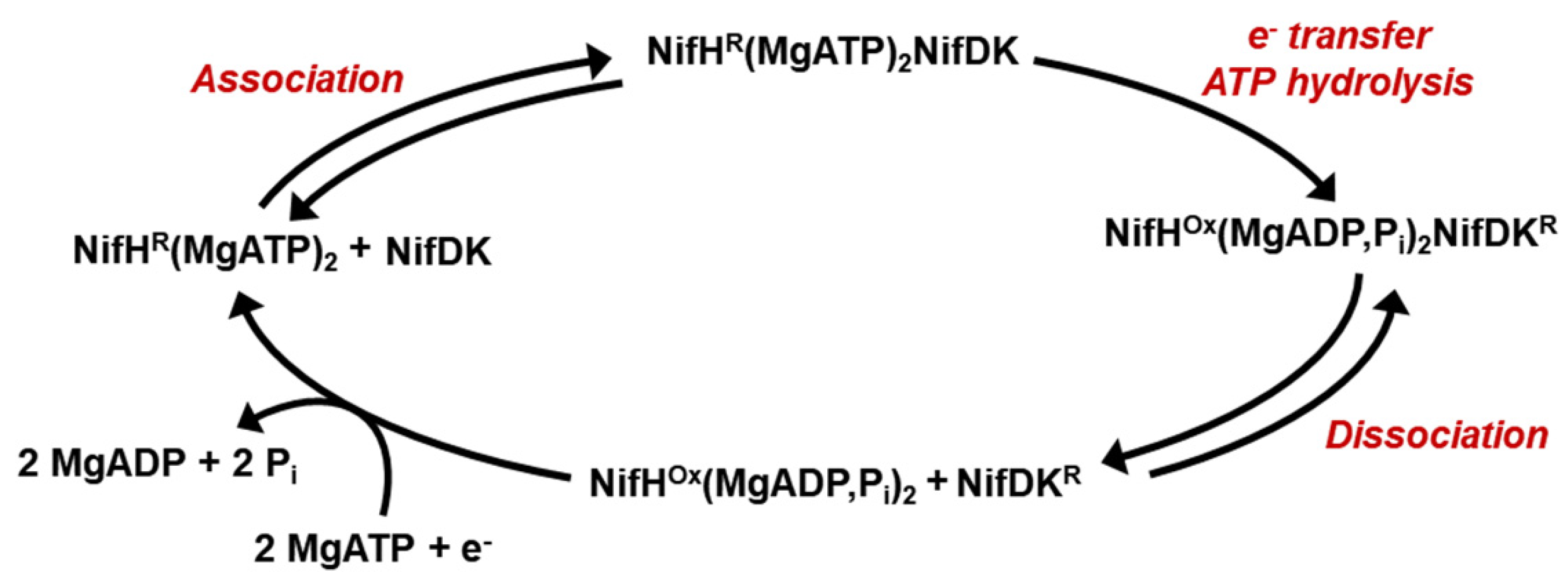 Molecules 27 06743 g007 Molecules 27 06743 g007