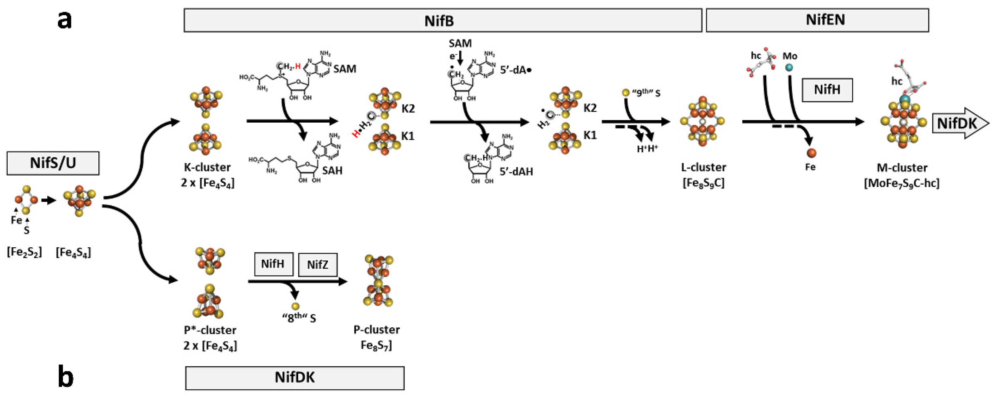 Molecules 27 06743 g009 Molecules 27 06743 g009