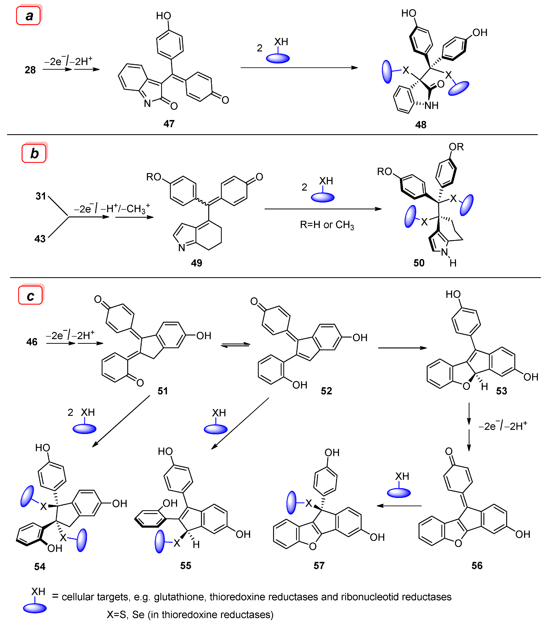 Molecules 27 06758 sch008